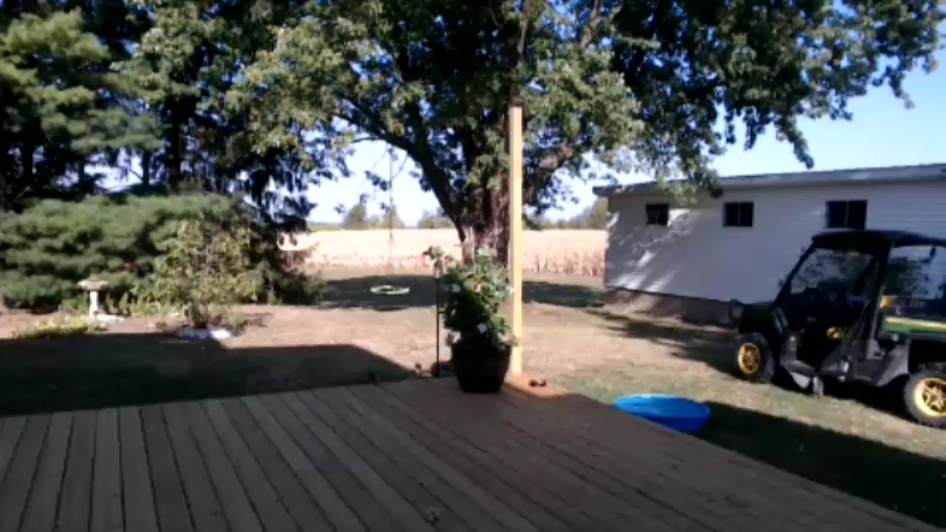 Gallery image thumbnail from Corn_Queen's myfreecams stream on, 09/16/2024, 14:59 image 3 of 20