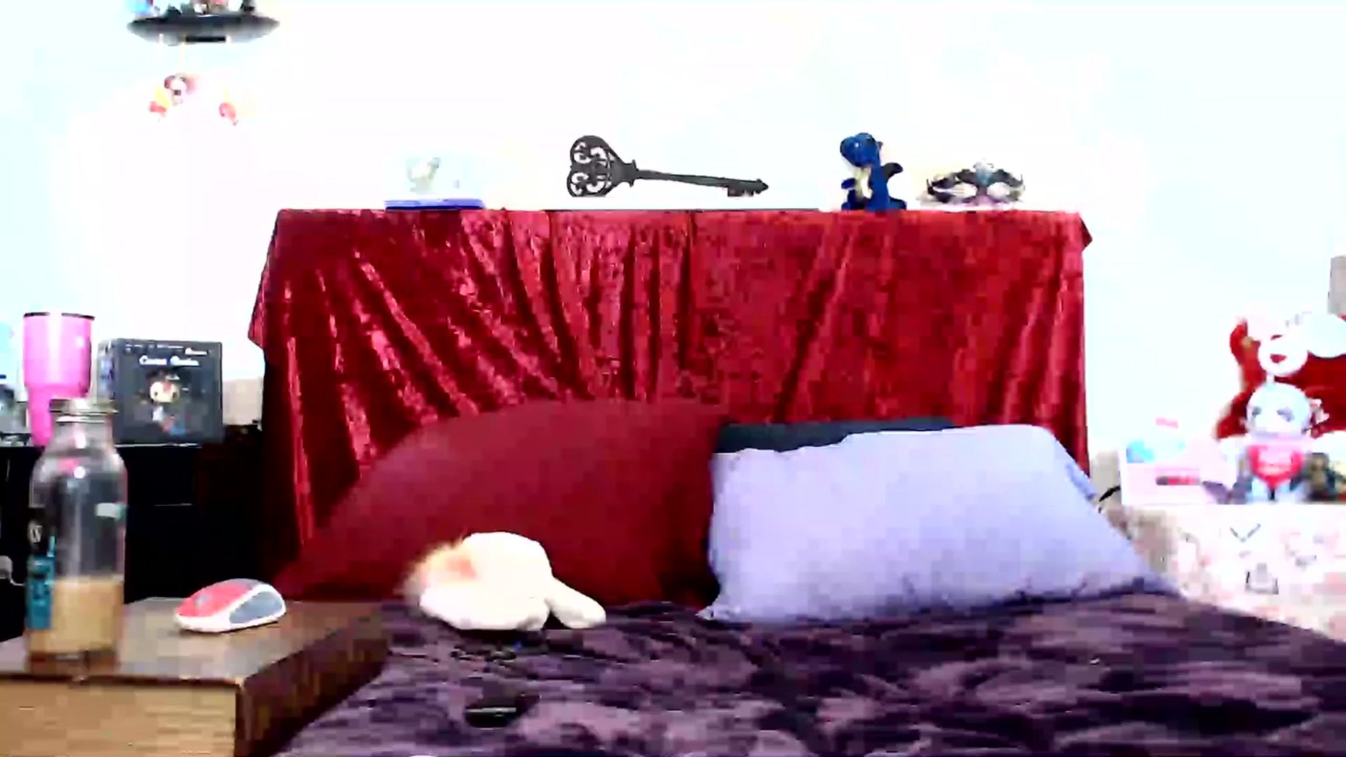 Gallery image thumbnail from CorolineClovr's myfreecams stream on, 05/23/2023, 23:15 image 11 of 20