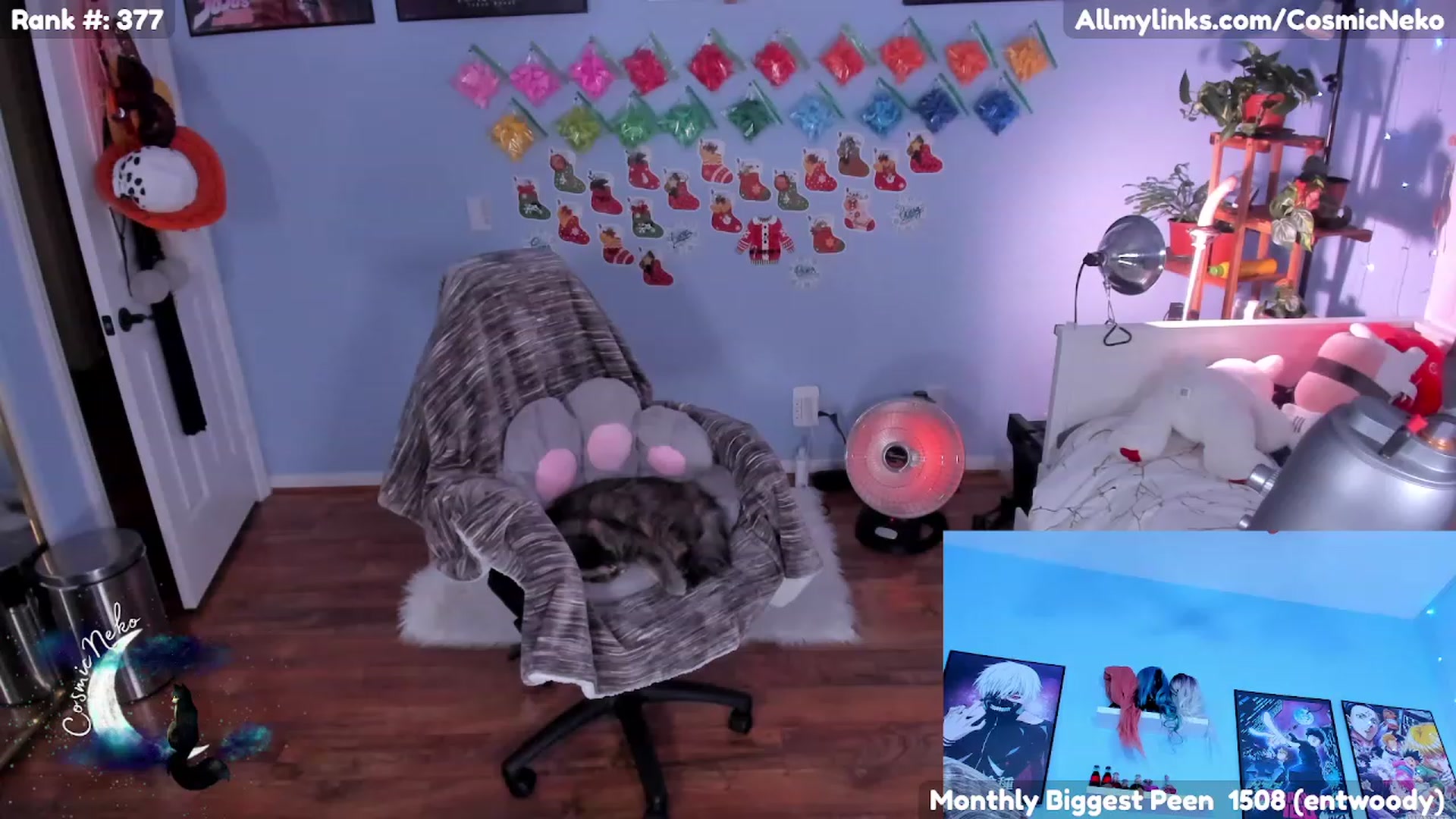 Gallery image thumbnail from CosmicNeko's myfreecams stream on, 12/21/2022, 06:36 image 6 of 20