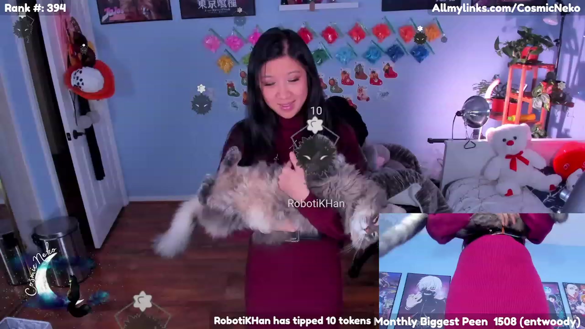 Gallery image thumbnail from CosmicNeko's myfreecams stream on, 12/23/2022, 07:58 image 14 of 20