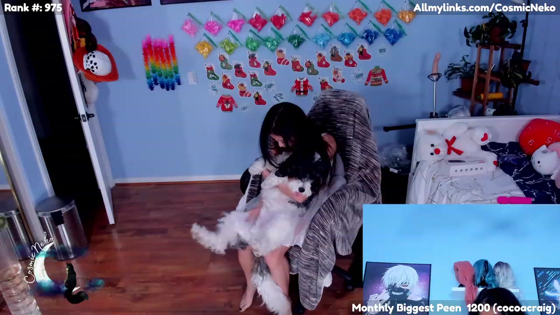 Gallery image thumbnail from CosmicNeko's myfreecams stream on, 01/19/2023, 08:14 image 15 of 20