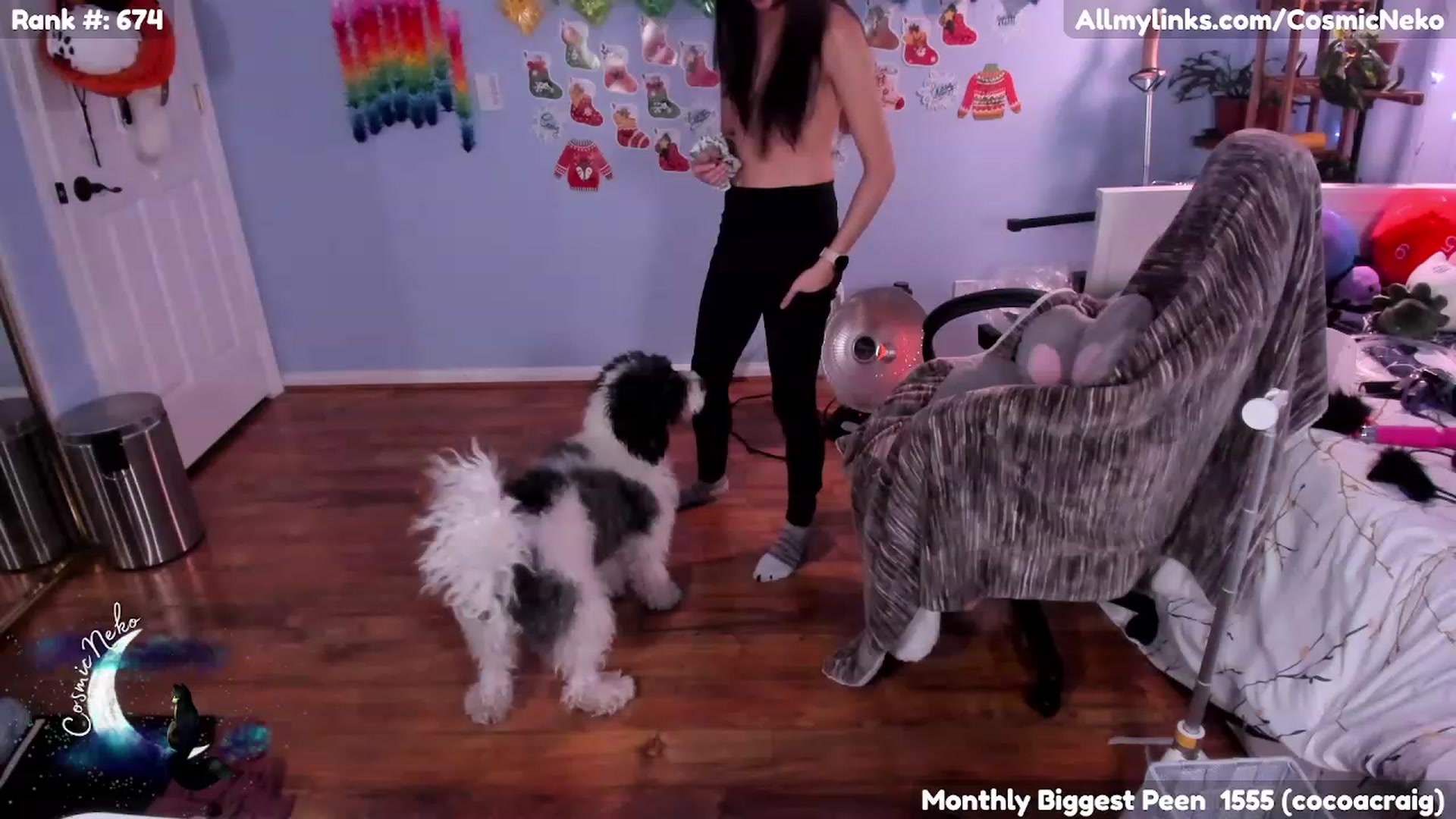 Gallery image thumbnail from CosmicNeko's myfreecams stream on, 01/27/2023, 06:30 image 16 of 20