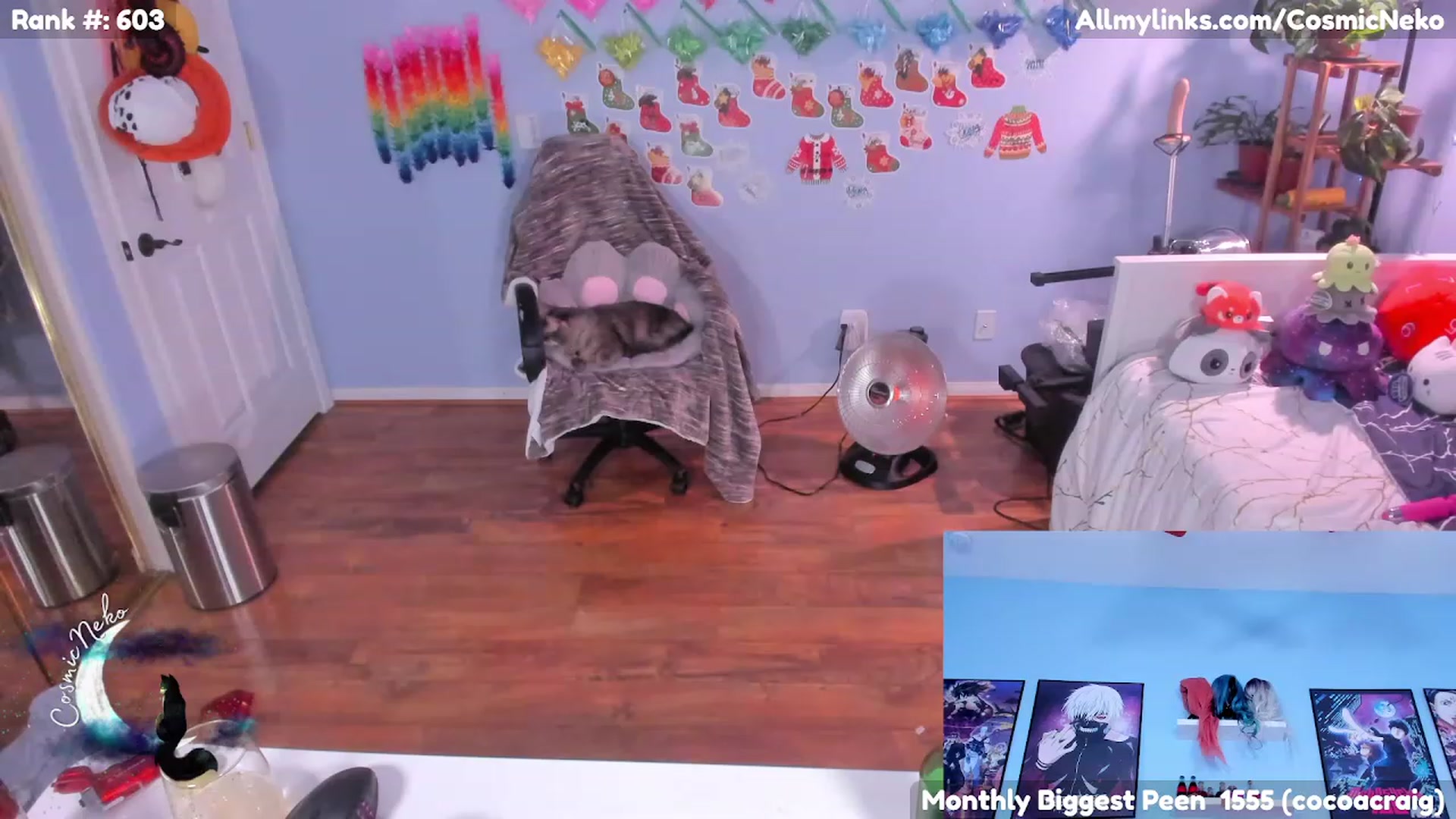 Gallery image thumbnail from CosmicNeko's myfreecams stream on, 01/28/2023, 06:49 image 11 of 20