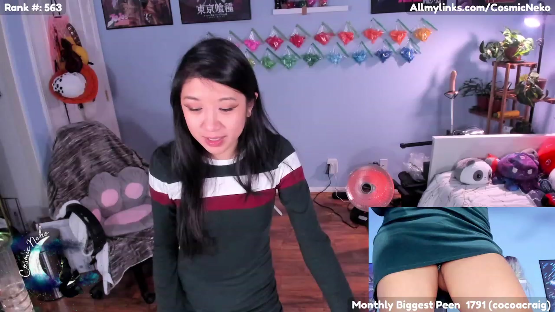 Gallery image thumbnail from CosmicNeko's myfreecams stream on, 02/01/2023, 05:48 image 15 of 20