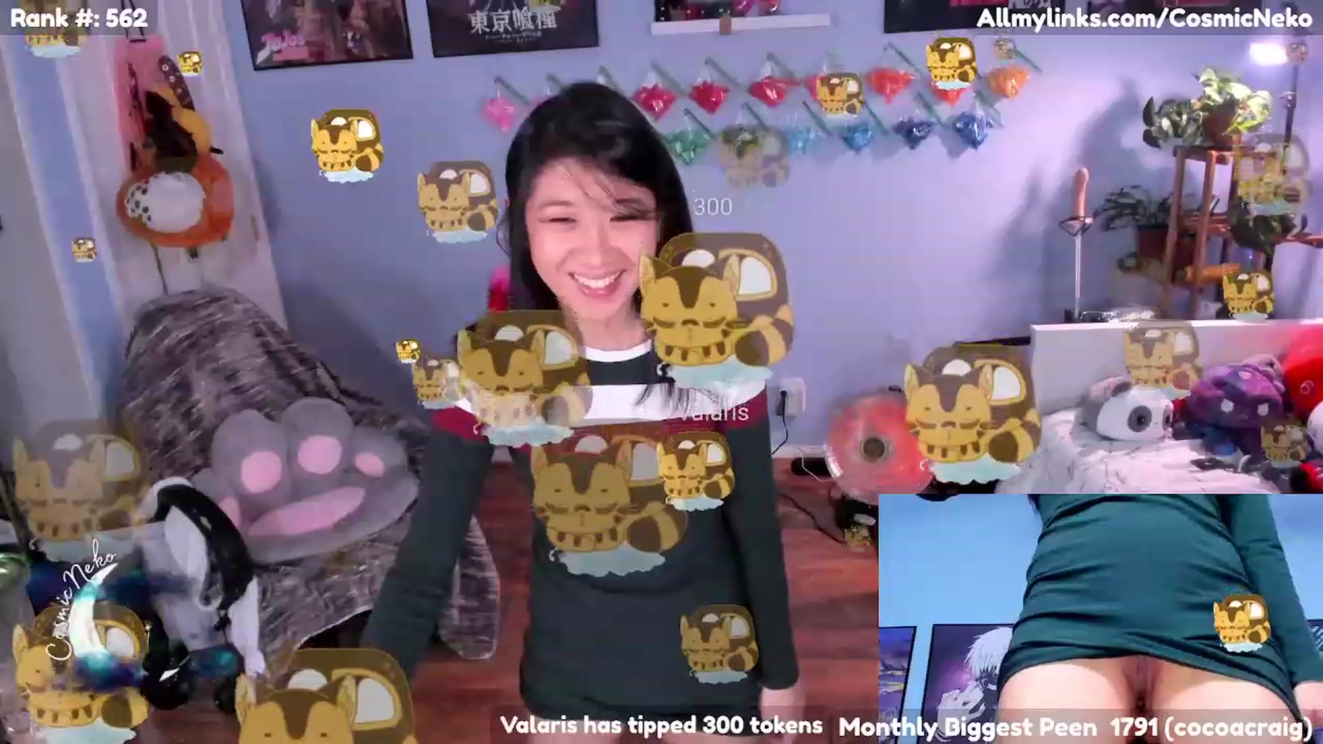 Gallery image thumbnail from CosmicNeko's myfreecams stream on, 02/01/2023, 05:48 image 19 of 20