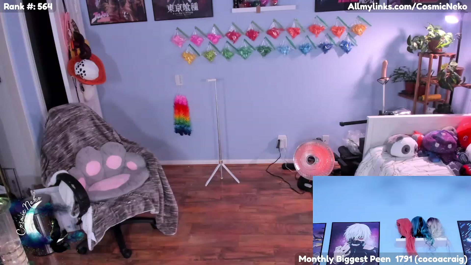 Gallery image thumbnail from CosmicNeko's myfreecams stream on, 02/01/2023, 05:48 image 11 of 20