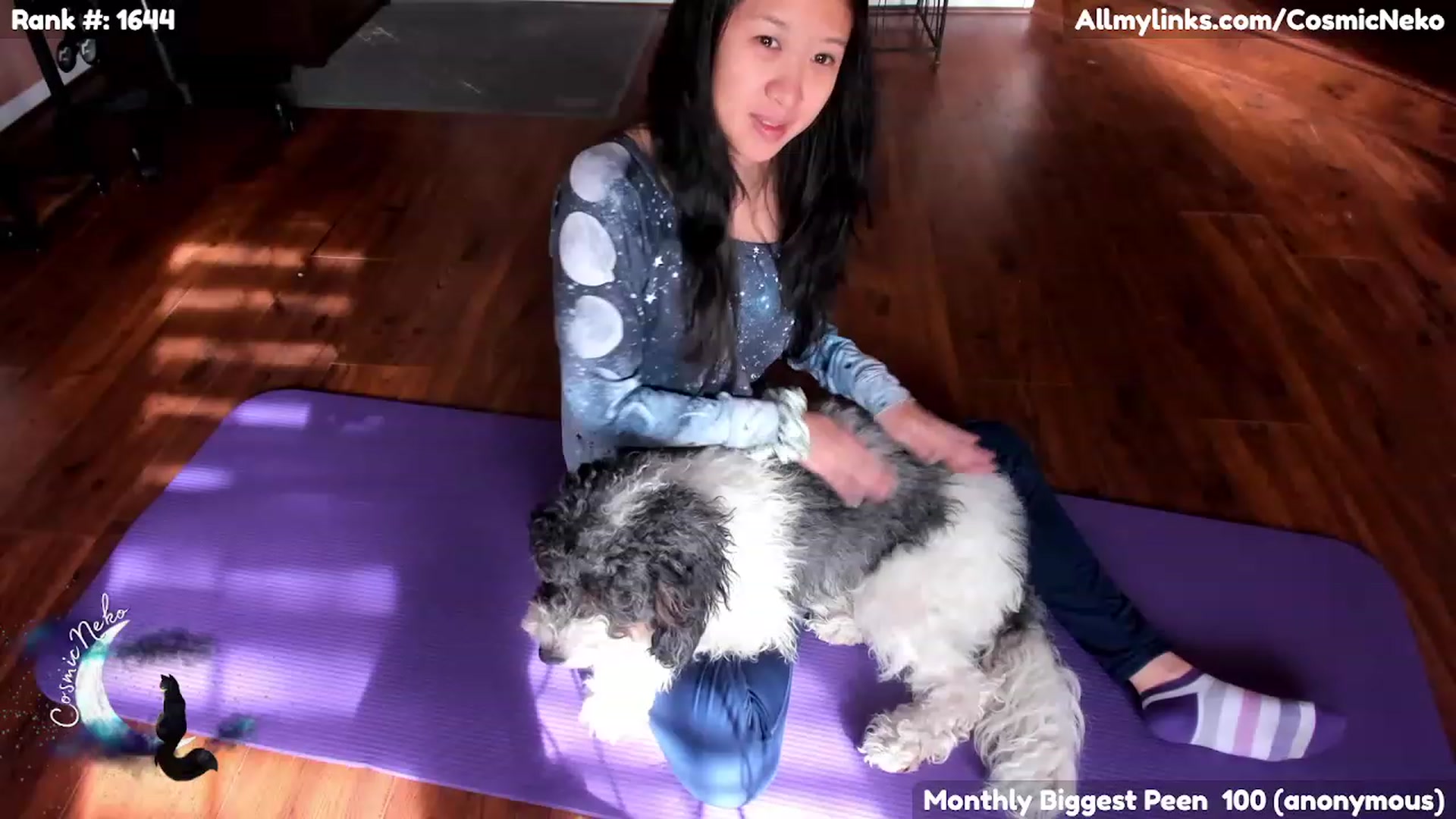 Gallery image thumbnail from CosmicNeko's myfreecams stream on, 02/03/2023, 18:07 image 7 of 20