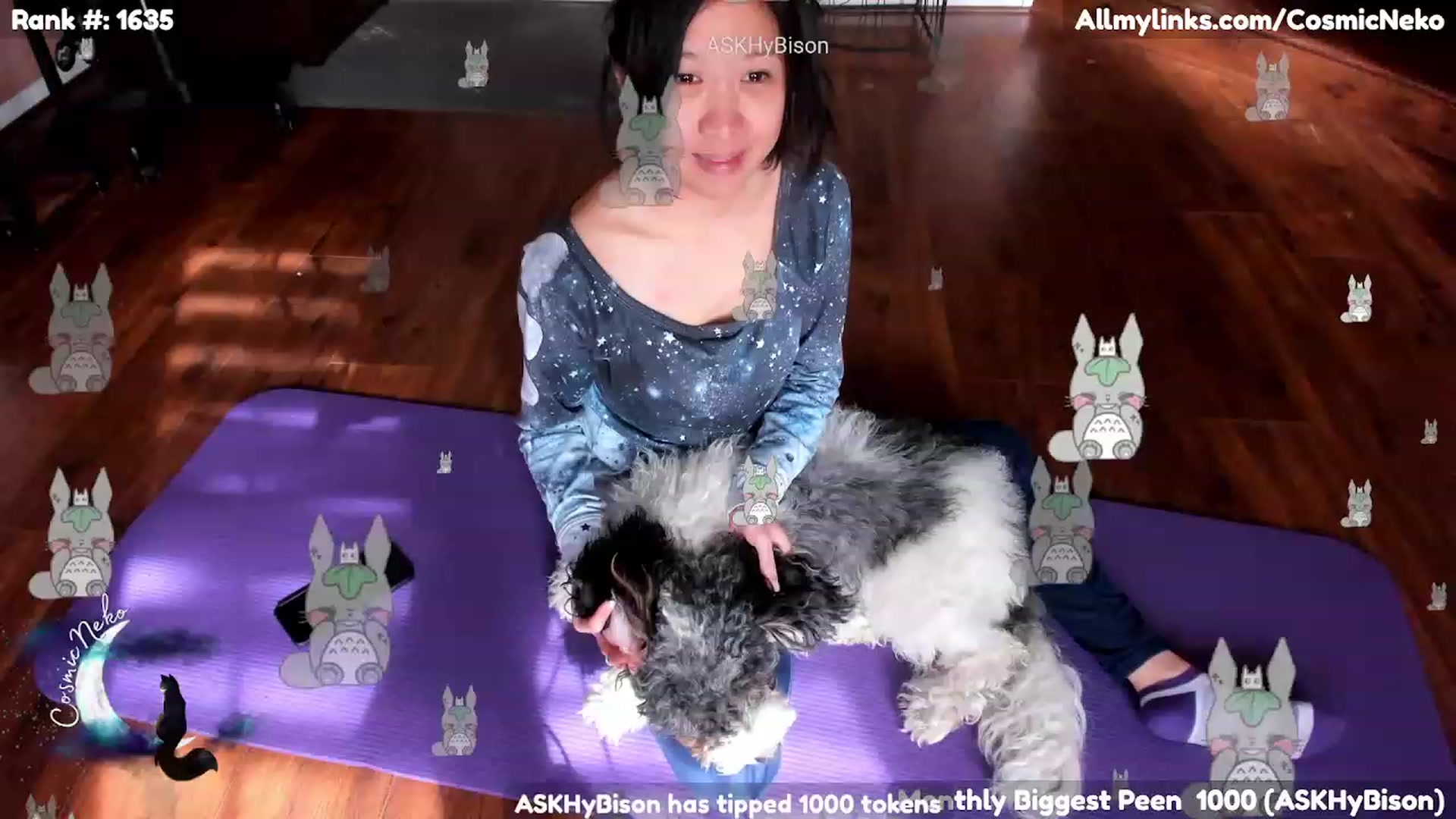 Gallery image thumbnail from CosmicNeko's myfreecams stream on, 02/03/2023, 18:07 image 10 of 20