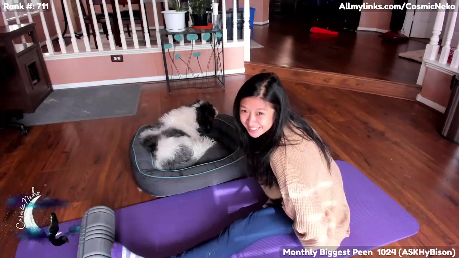 Gallery image thumbnail from CosmicNeko's myfreecams stream on, 02/03/2023, 21:07 image 9 of 20