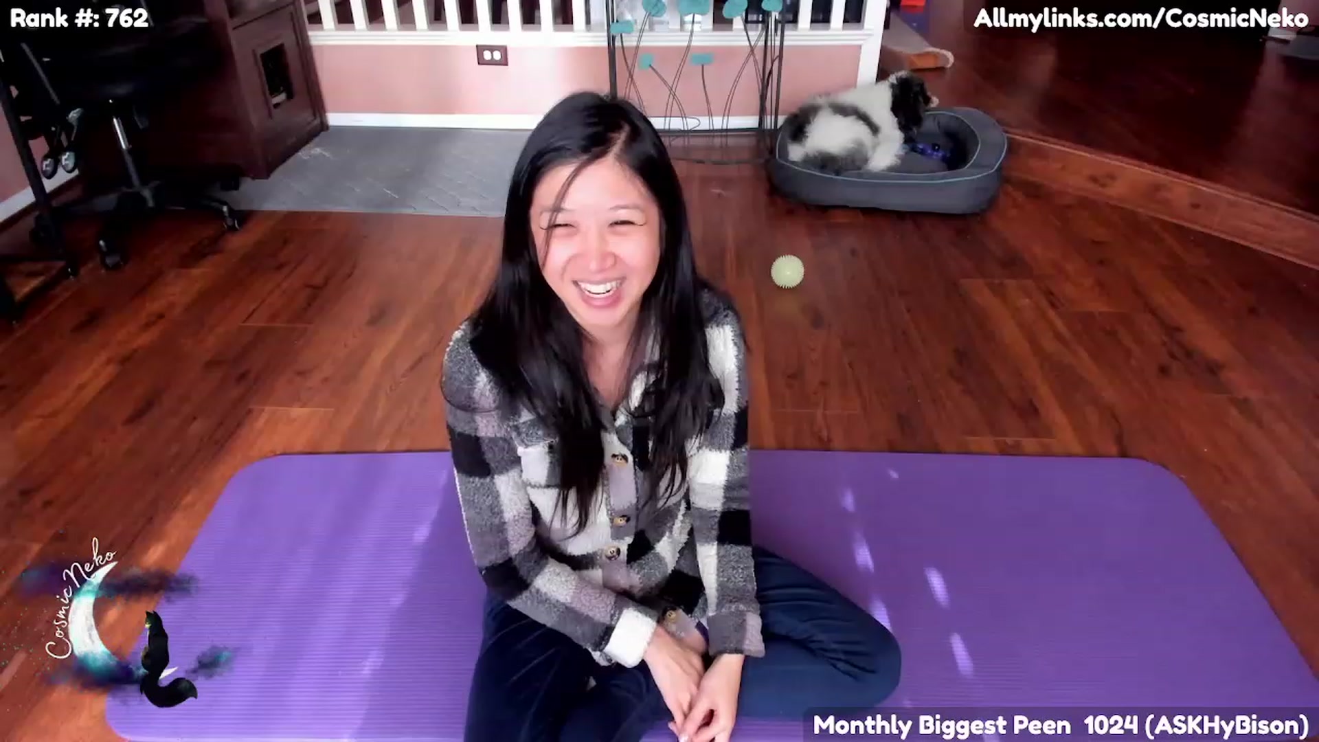 Gallery image thumbnail from CosmicNeko's myfreecams stream on, 02/04/2023, 19:52 image 12 of 20