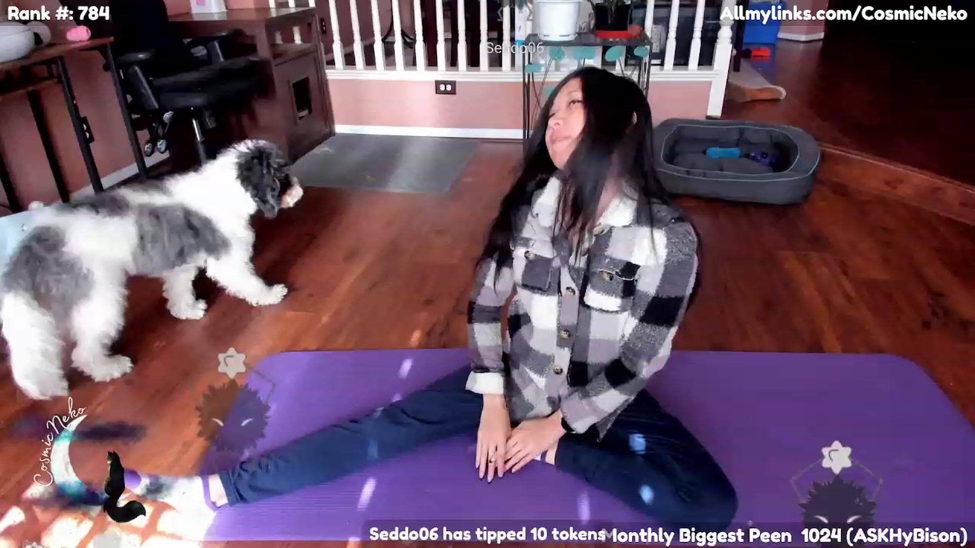 Gallery image thumbnail from CosmicNeko's myfreecams stream on, 02/04/2023, 19:52 image 7 of 20
