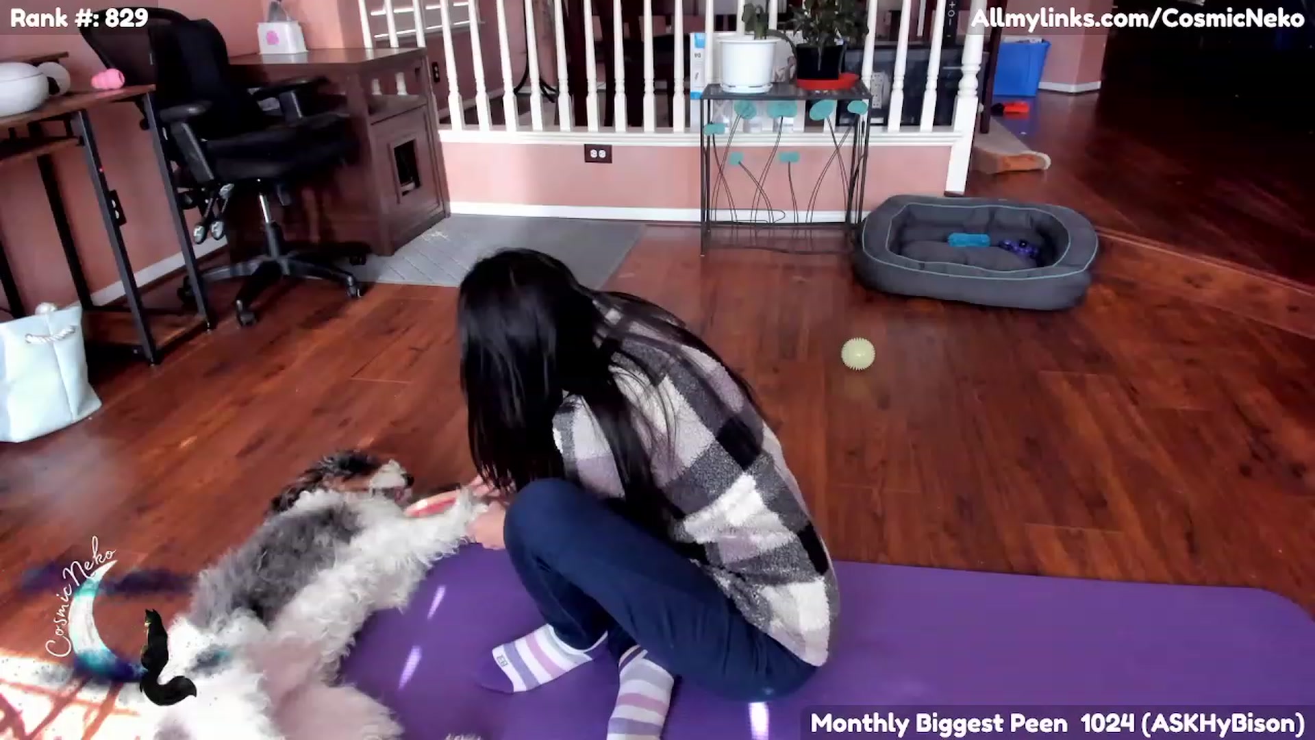 Gallery image thumbnail from CosmicNeko's myfreecams stream on, 02/04/2023, 19:52 image 3 of 20