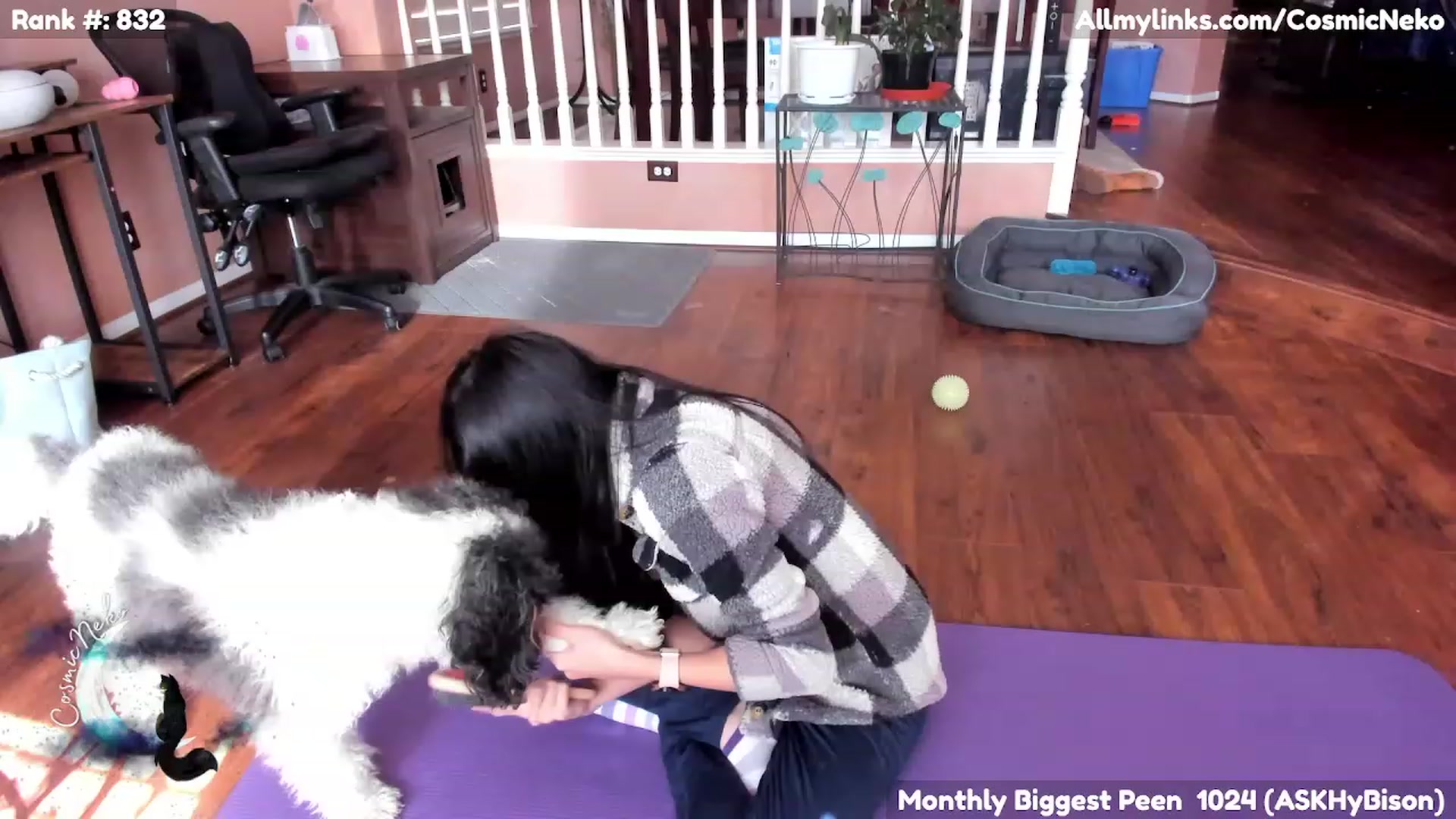 Gallery image thumbnail from CosmicNeko's myfreecams stream on, 02/04/2023, 19:52 image 2 of 20