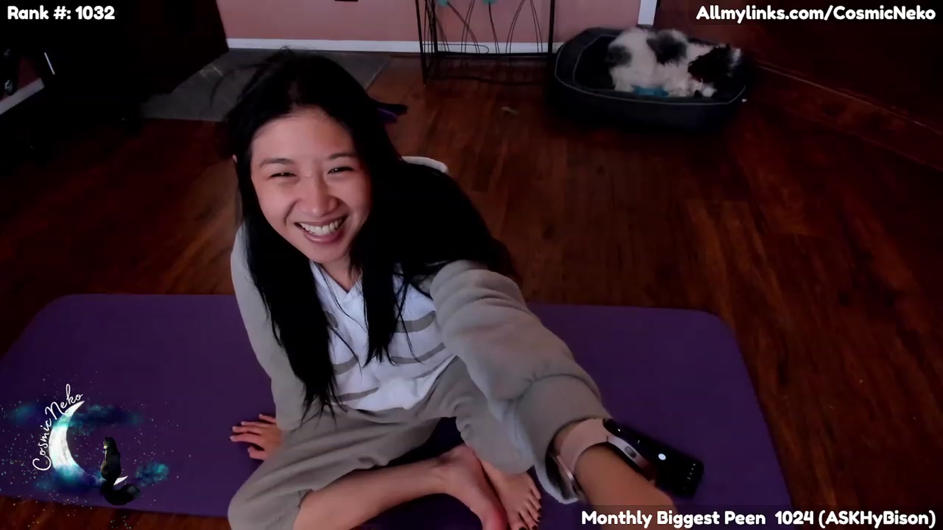 Gallery image thumbnail from CosmicNeko's myfreecams stream on, 02/09/2023, 22:58 image 15 of 20