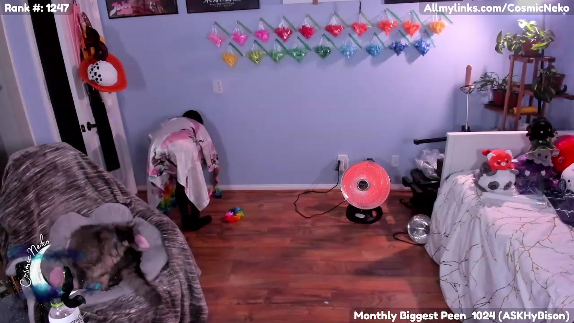 Gallery image thumbnail from CosmicNeko's myfreecams stream on, 02/12/2023, 06:27 image 1 of 20