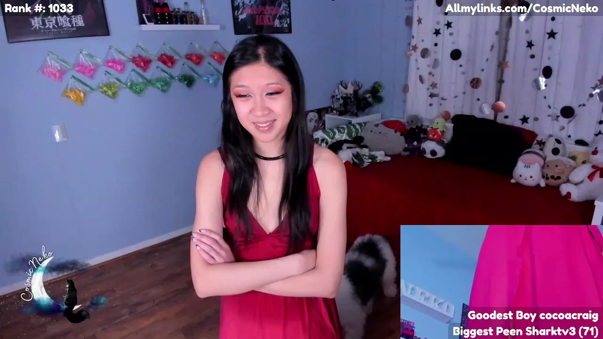 Gallery image thumbnail from CosmicNeko's myfreecams stream on, 02/17/2023, 05:32 image 7 of 20