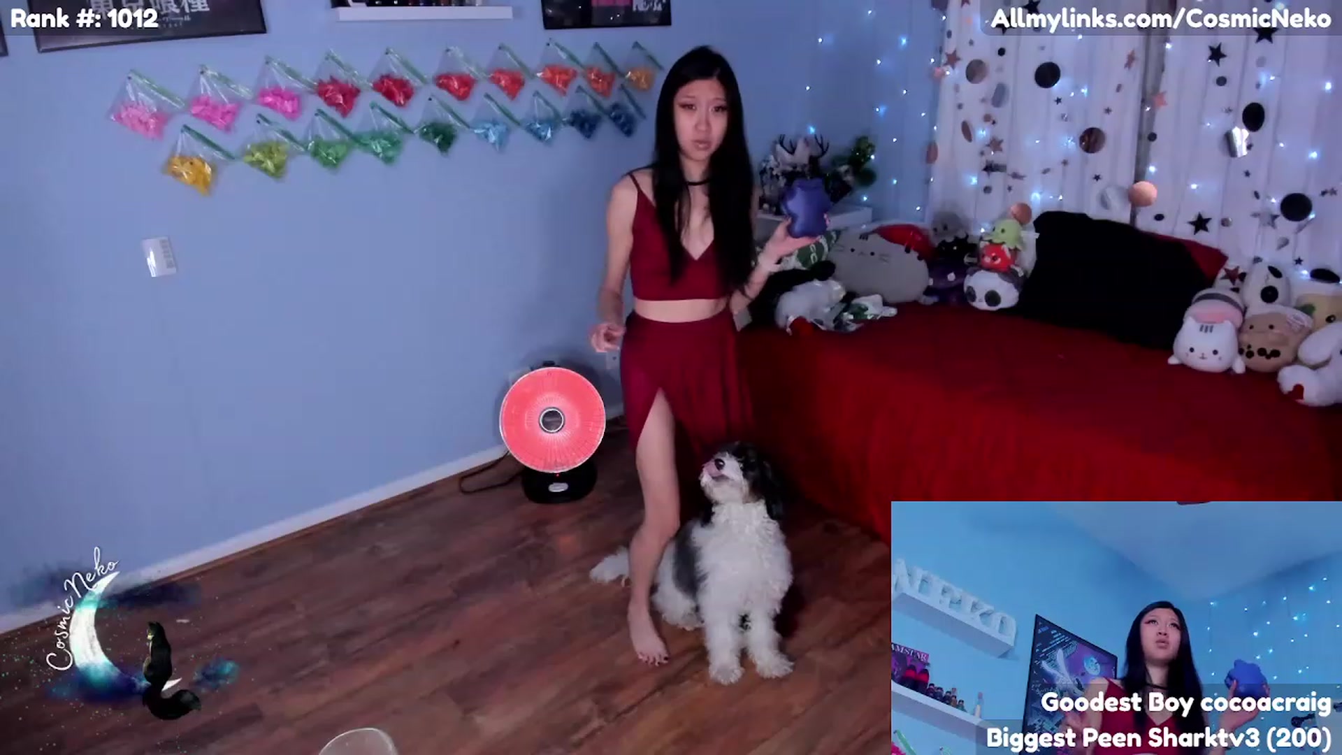 Gallery image thumbnail from CosmicNeko's myfreecams stream on, 02/17/2023, 05:32 image 15 of 20