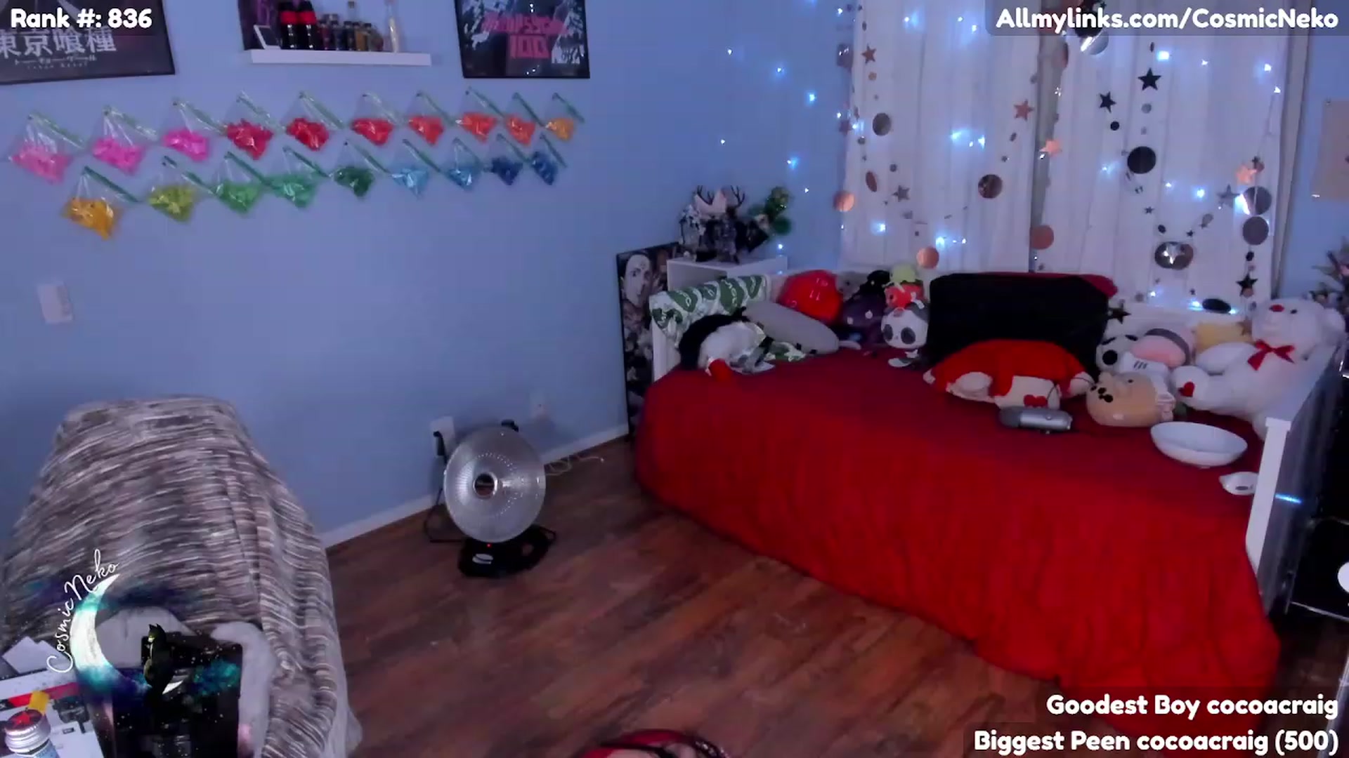 Gallery image thumbnail from CosmicNeko's myfreecams stream on, 02/19/2023, 06:27 image 16 of 20