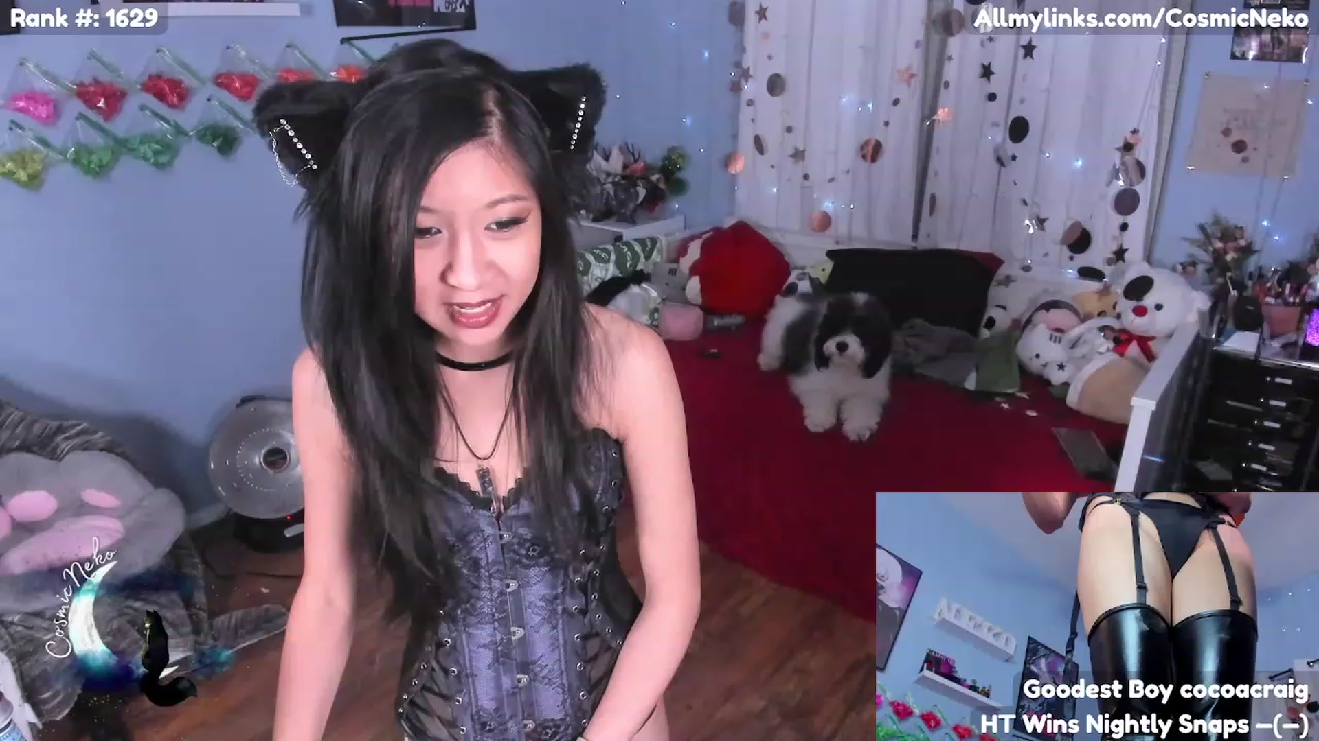 Gallery image thumbnail from CosmicNeko's myfreecams stream on, 03/19/2023, 04:44 image 2 of 20
