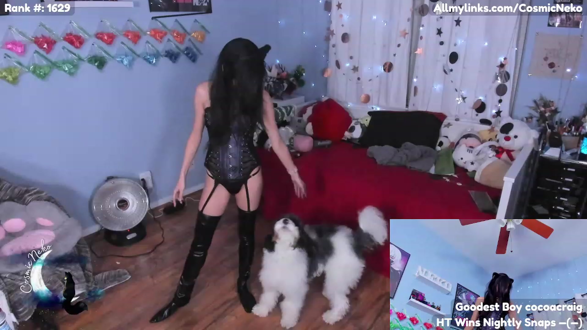 Gallery image thumbnail from CosmicNeko's myfreecams stream on, 03/19/2023, 04:44 image 1 of 20