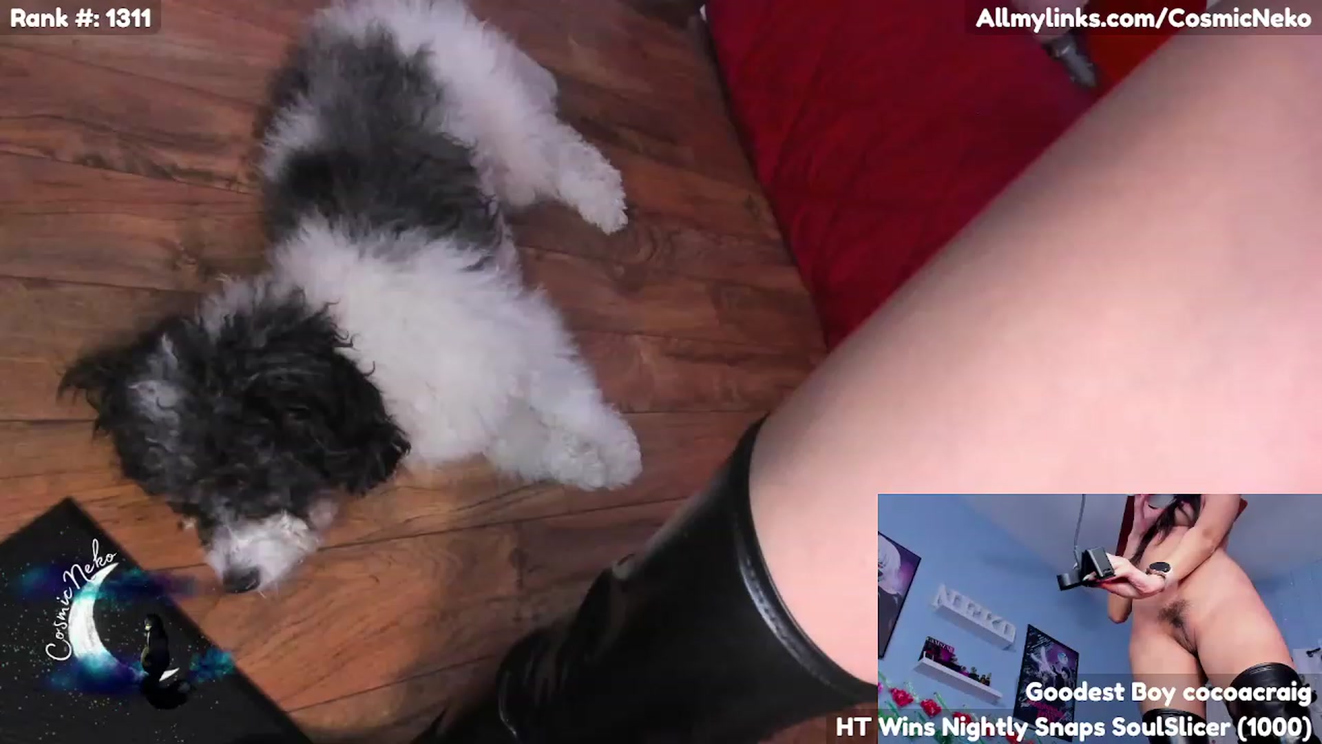 Gallery image thumbnail from CosmicNeko's myfreecams stream on, 03/19/2023, 06:05 image 11 of 20
