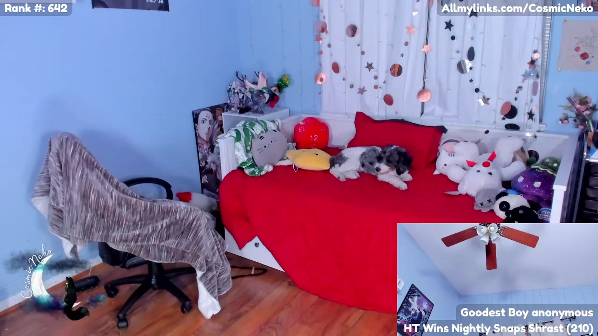 Gallery image thumbnail from CosmicNeko's myfreecams stream on, 04/25/2023, 04:16 image 16 of 20