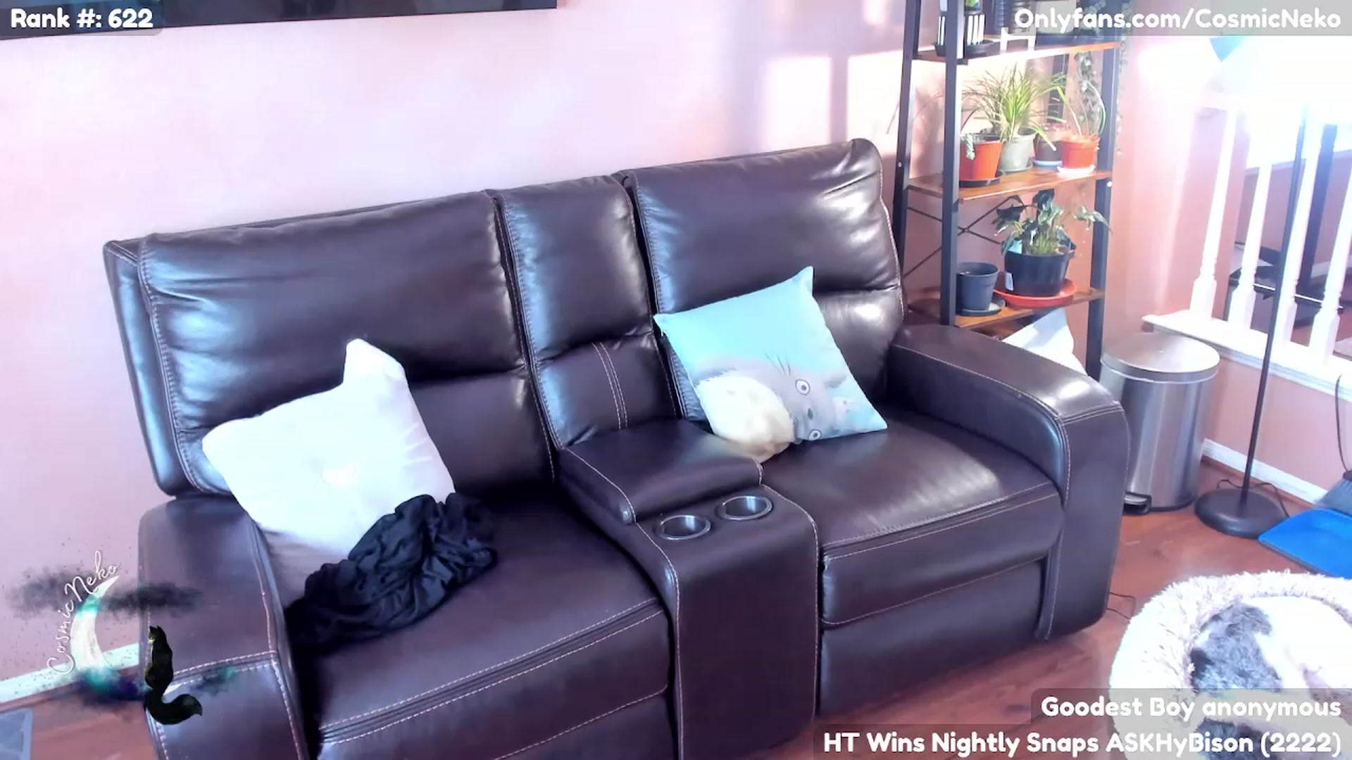 Gallery image thumbnail from CosmicNeko's myfreecams stream on, 04/25/2023, 20:03 image 3 of 20