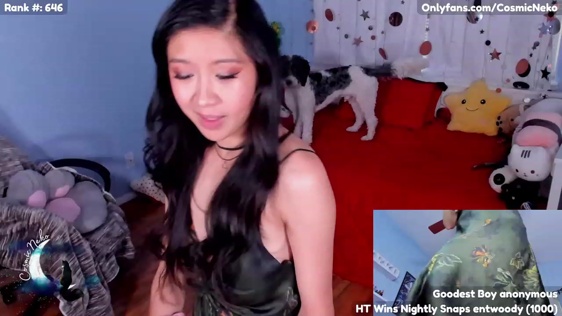 Gallery image thumbnail from CosmicNeko's myfreecams stream on, 04/28/2023, 19:52 image 16 of 20