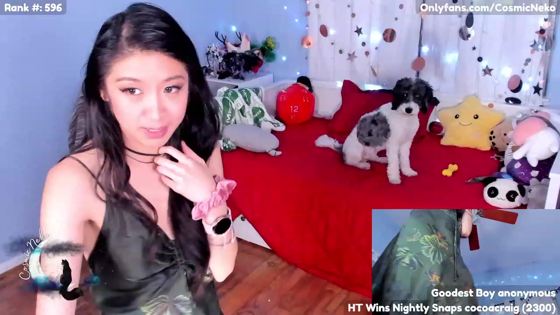Gallery image thumbnail from CosmicNeko's myfreecams stream on, 04/29/2023, 03:23 image 11 of 20