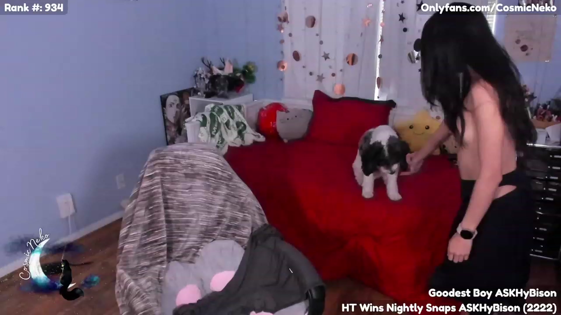 Gallery image thumbnail from CosmicNeko's myfreecams stream on, 05/02/2023, 20:08 image 3 of 20