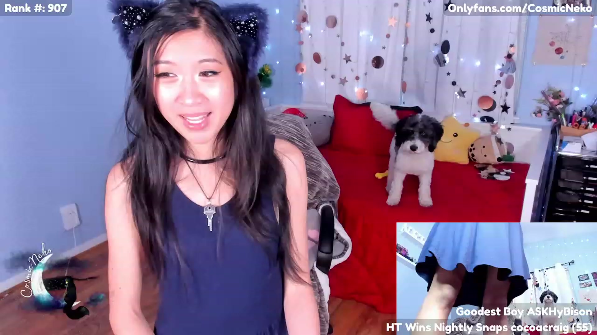 Gallery image thumbnail from CosmicNeko's myfreecams stream on, 05/03/2023, 04:37 image 3 of 20