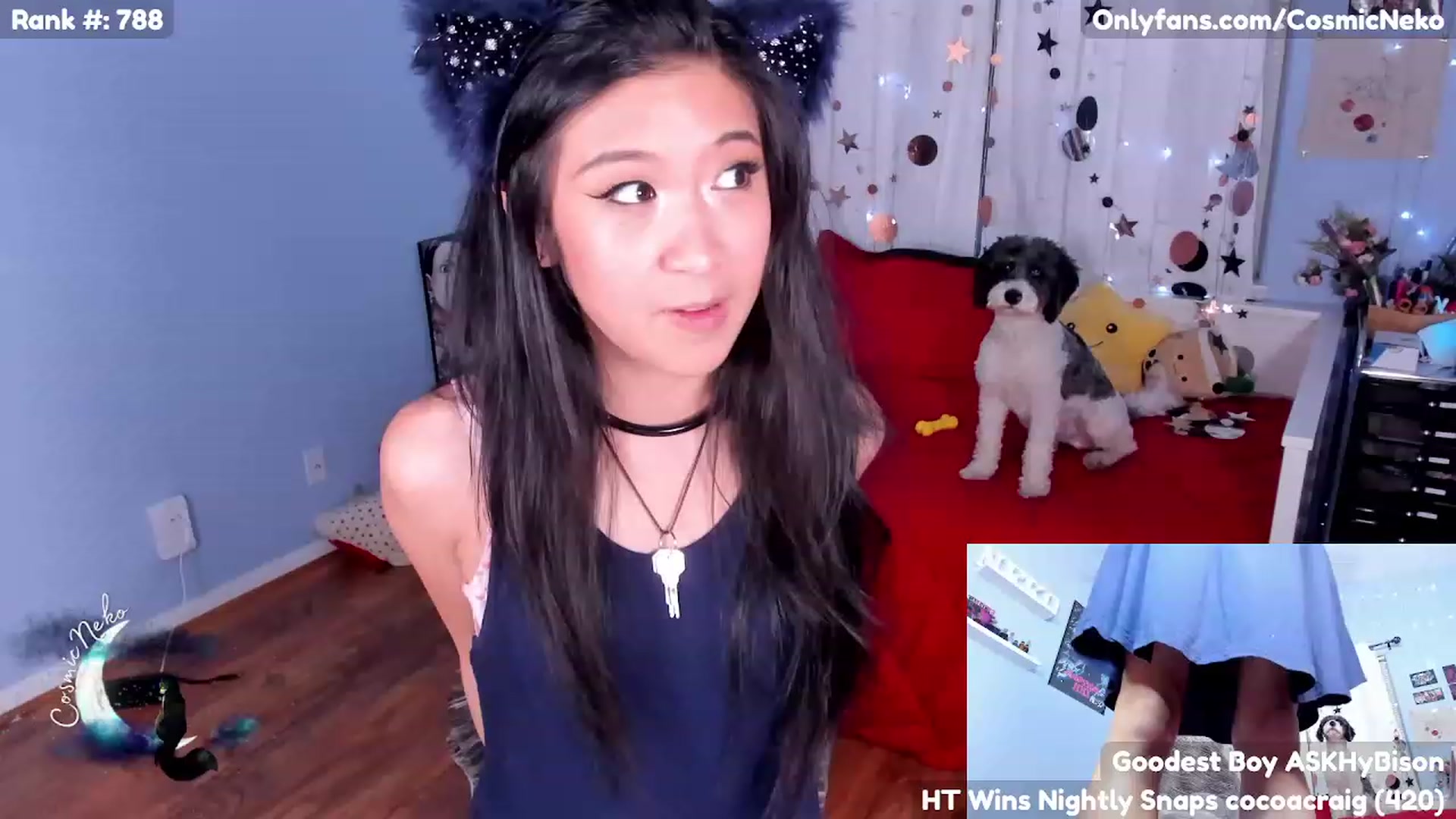 Gallery image thumbnail from CosmicNeko's myfreecams stream on, 05/03/2023, 04:37 image 7 of 20