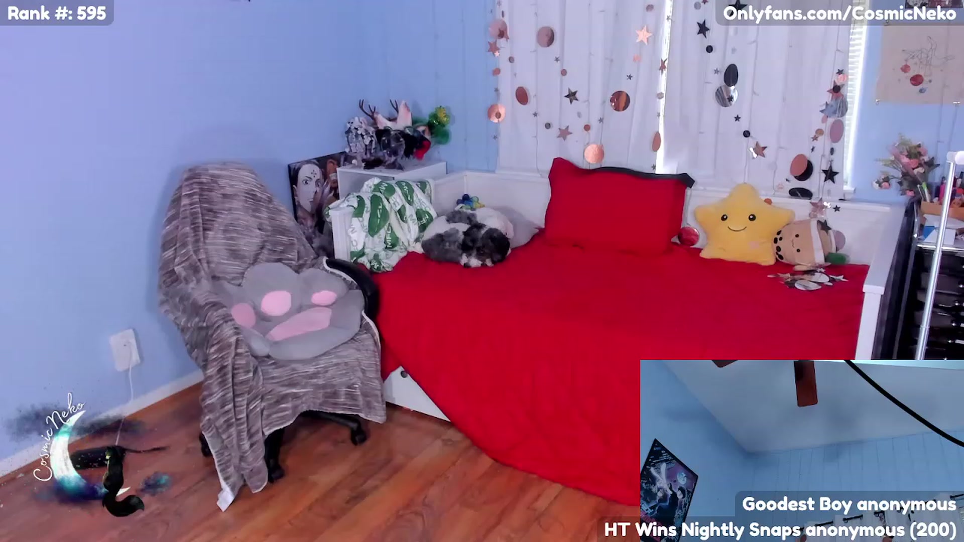 Gallery image thumbnail from CosmicNeko's myfreecams stream on, 05/04/2023, 17:26 image 18 of 20