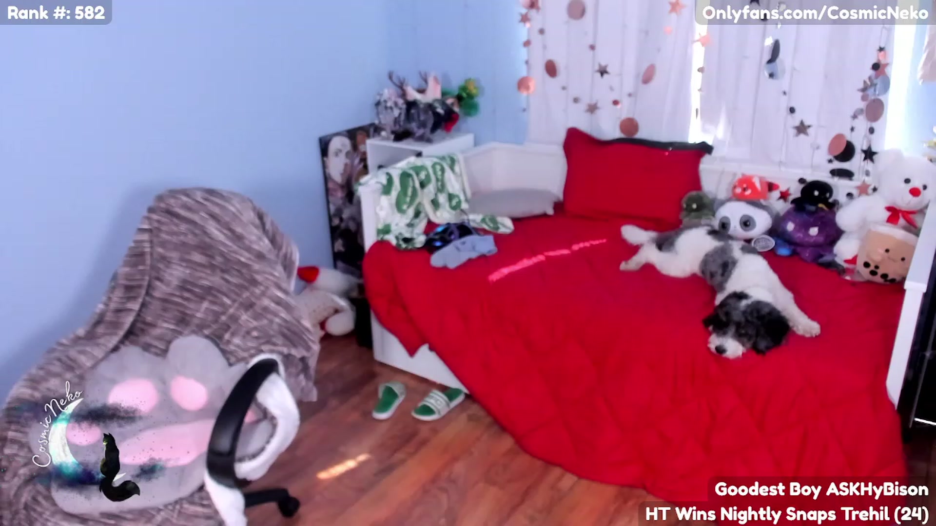 Gallery image thumbnail from CosmicNeko's myfreecams stream on, 05/11/2023, 16:39 image 16 of 20