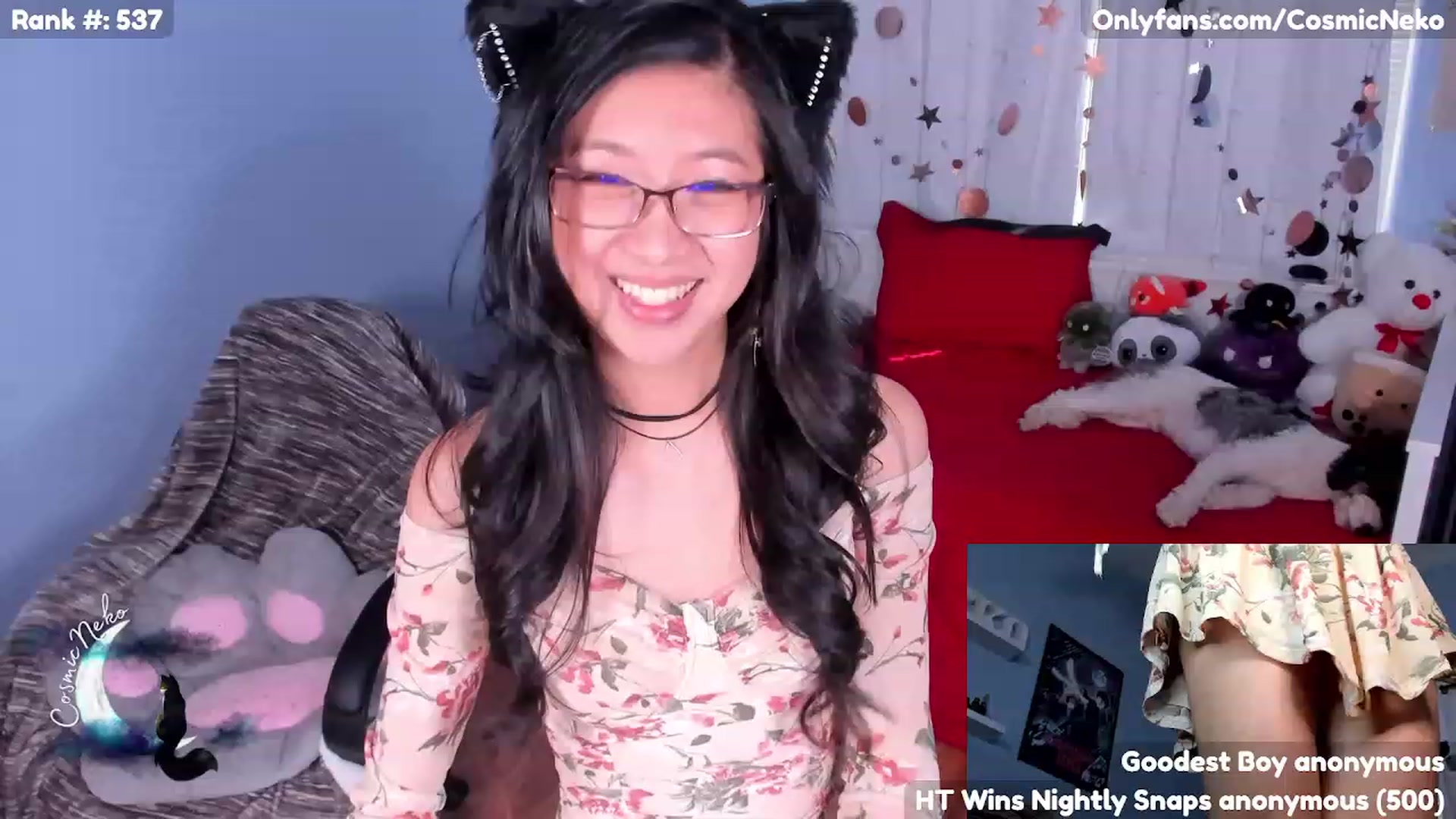 Gallery image thumbnail from CosmicNeko's myfreecams stream on, 05/11/2023, 18:32 image 14 of 20