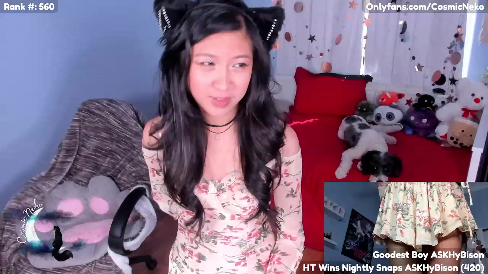 Gallery image thumbnail from CosmicNeko's myfreecams stream on, 05/11/2023, 18:32 image 8 of 20