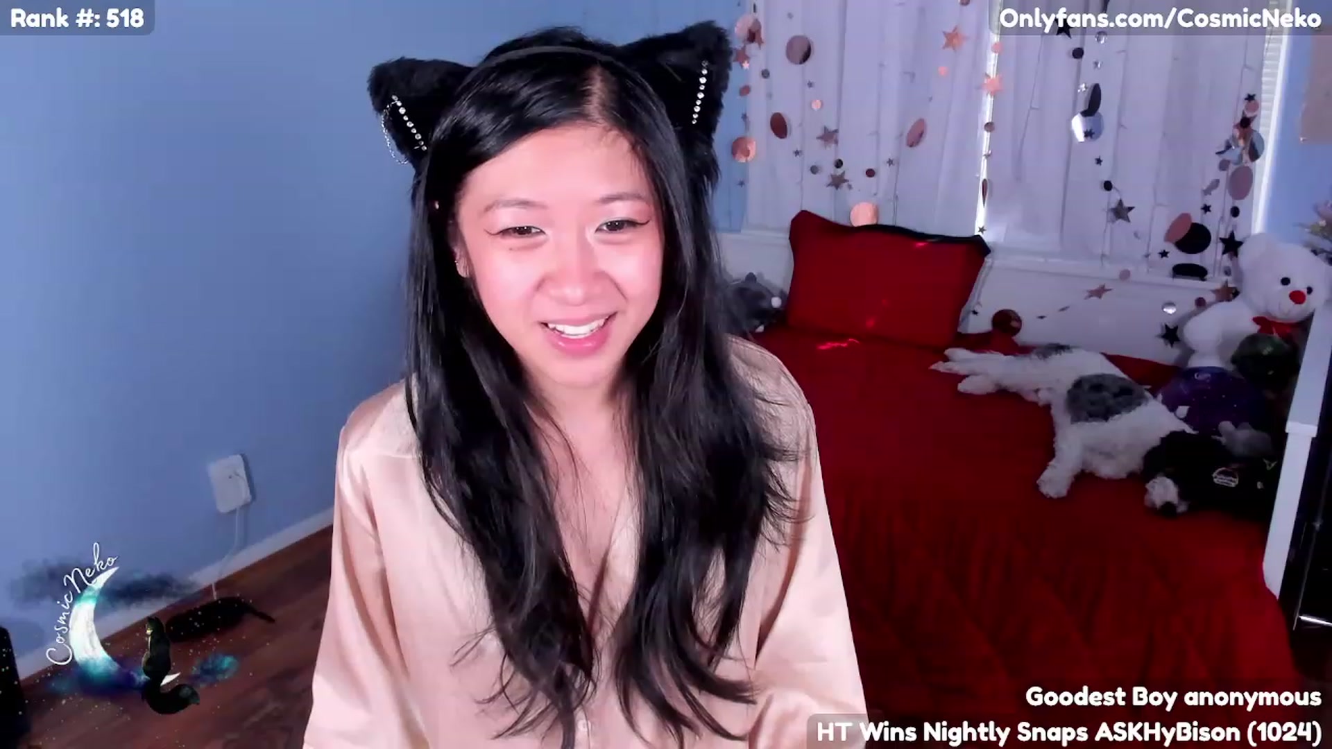 Gallery image thumbnail from CosmicNeko's myfreecams stream on, 05/12/2023, 19:27 image 9 of 20