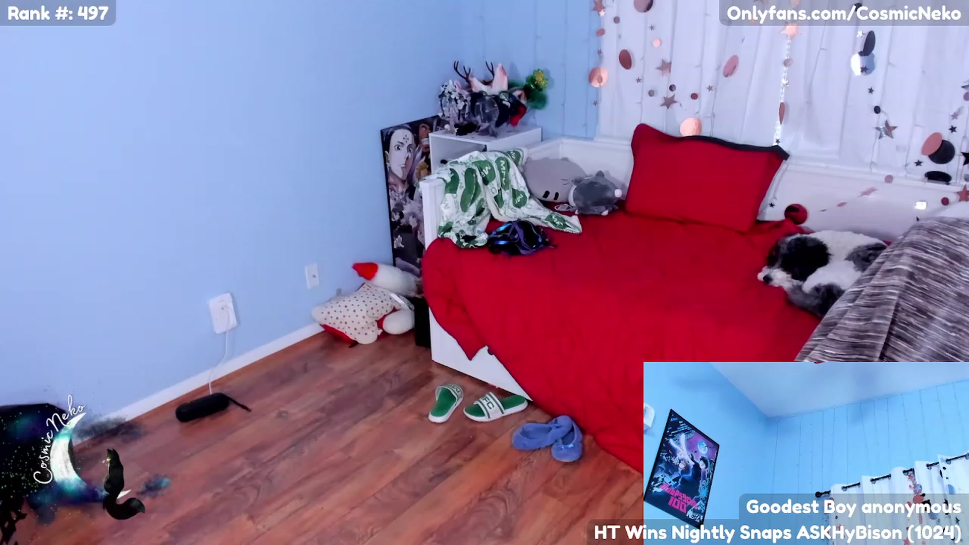 Gallery image thumbnail from CosmicNeko's myfreecams stream on, 05/12/2023, 19:27 image 18 of 20