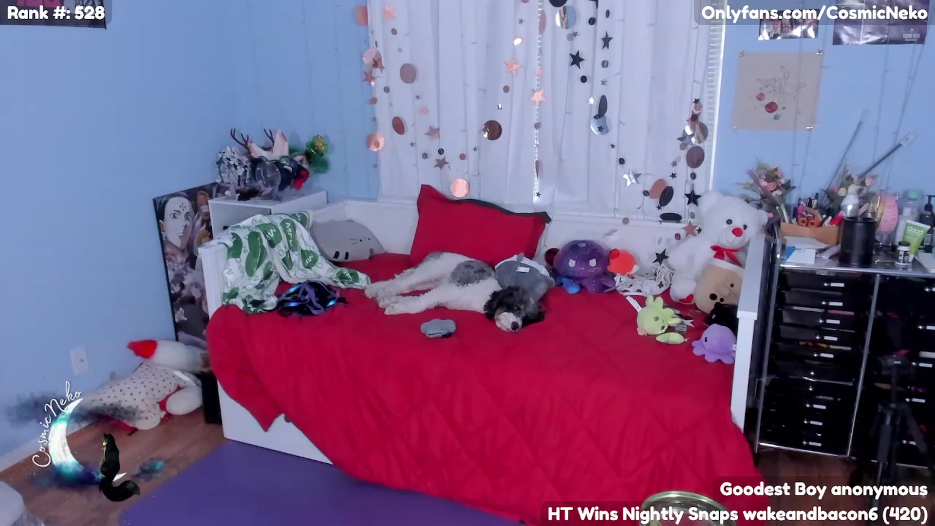Gallery image thumbnail from CosmicNeko's myfreecams stream on, 05/15/2023, 19:25 image 16 of 20
