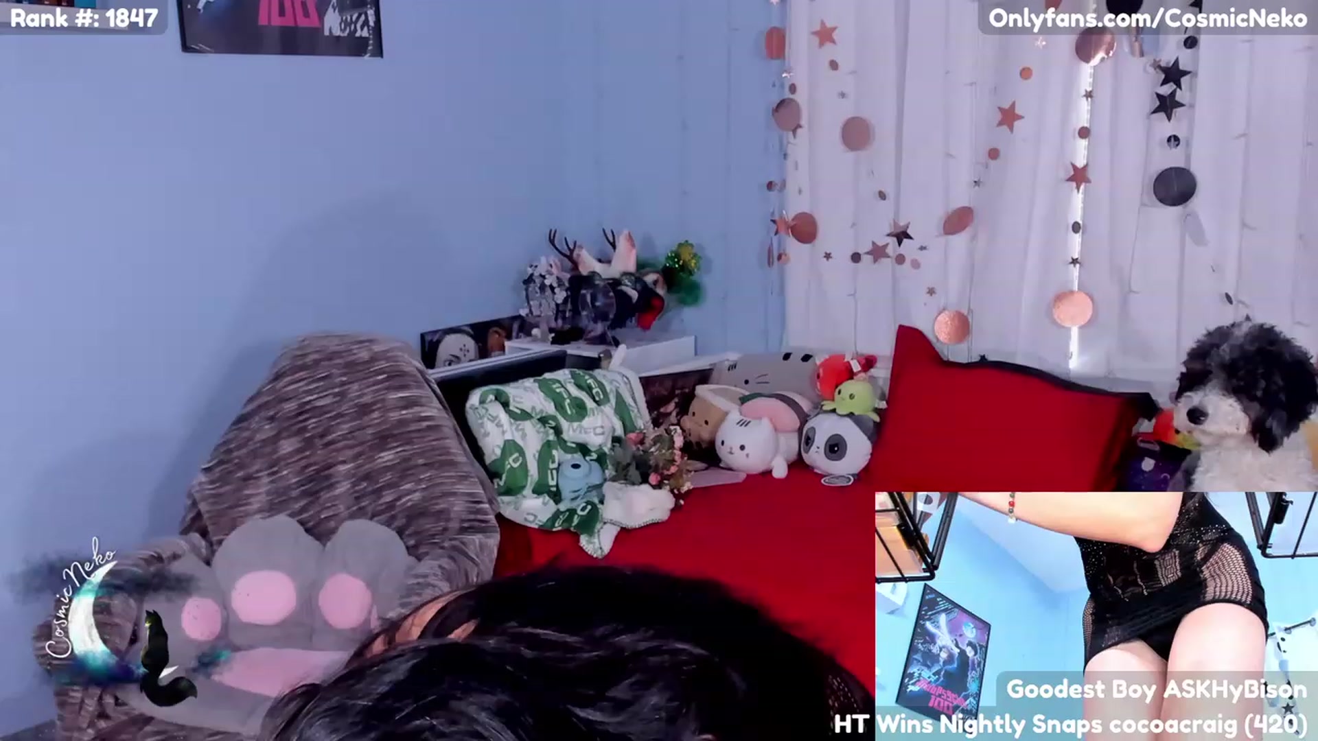 Gallery image thumbnail from CosmicNeko's myfreecams stream on, 06/16/2023, 20:45 image 14 of 20