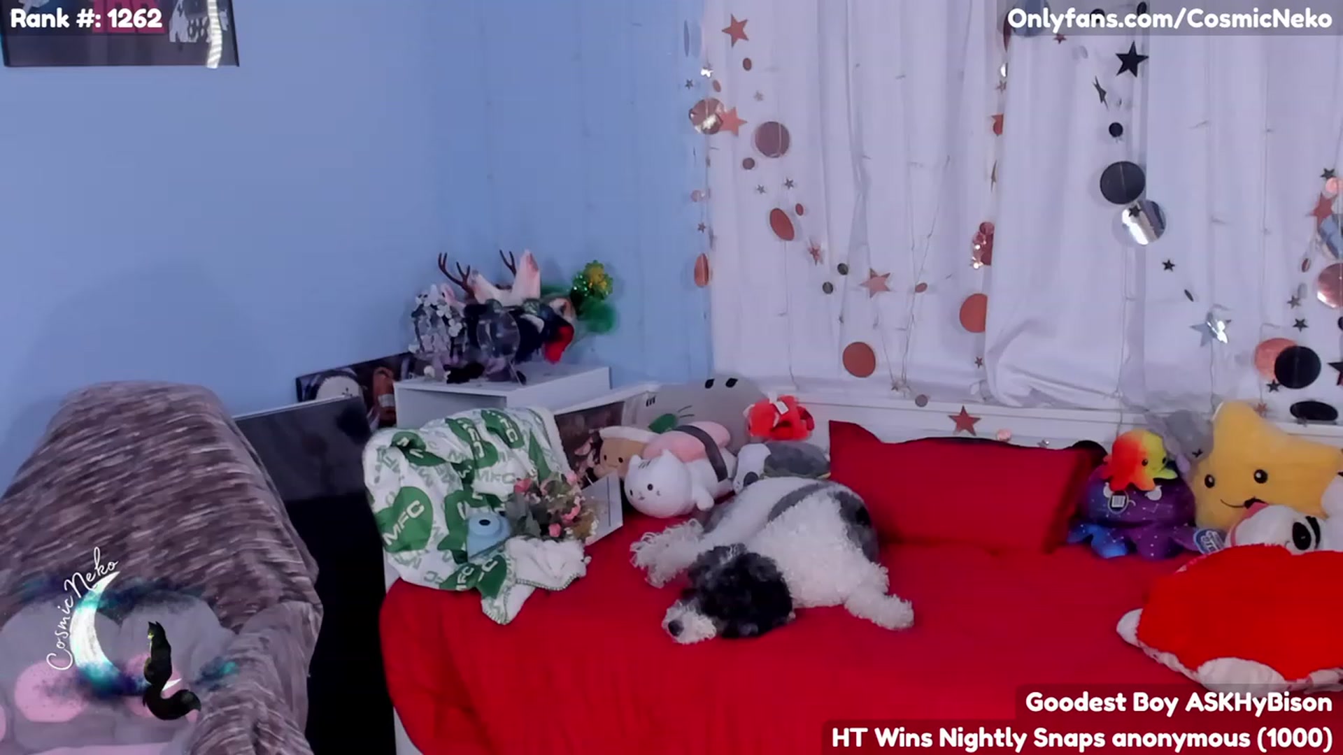 Gallery image thumbnail from CosmicNeko's myfreecams stream on, 06/22/2023, 19:49 image 6 of 20