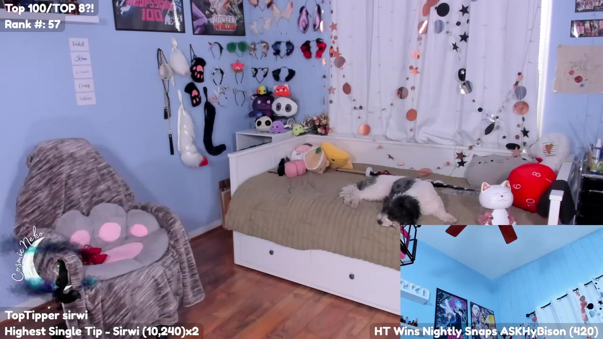 Gallery image thumbnail from CosmicNeko's myfreecams stream on, 07/06/2023, 18:52 image 6 of 20