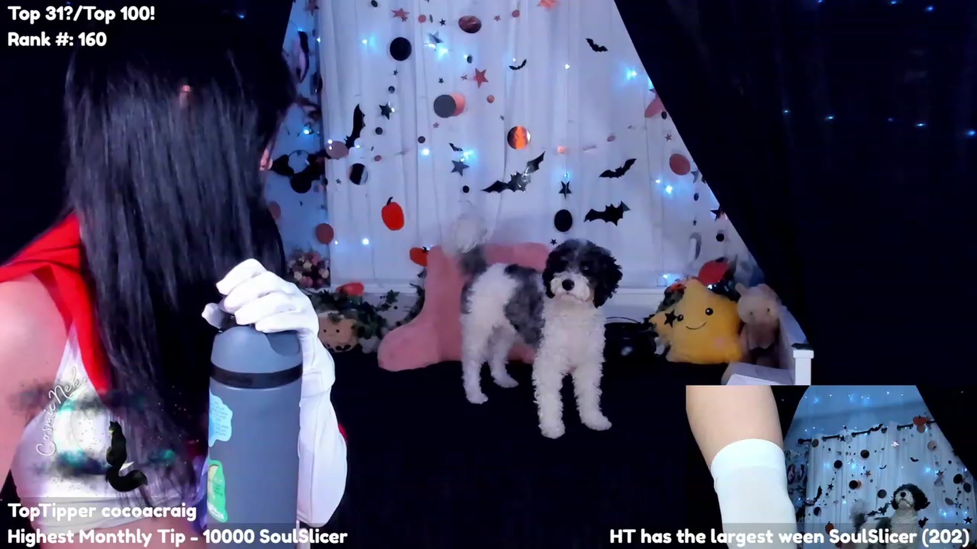 Gallery image thumbnail from CosmicNeko's myfreecams stream on, 10/17/2023, 04:20 image 3 of 20