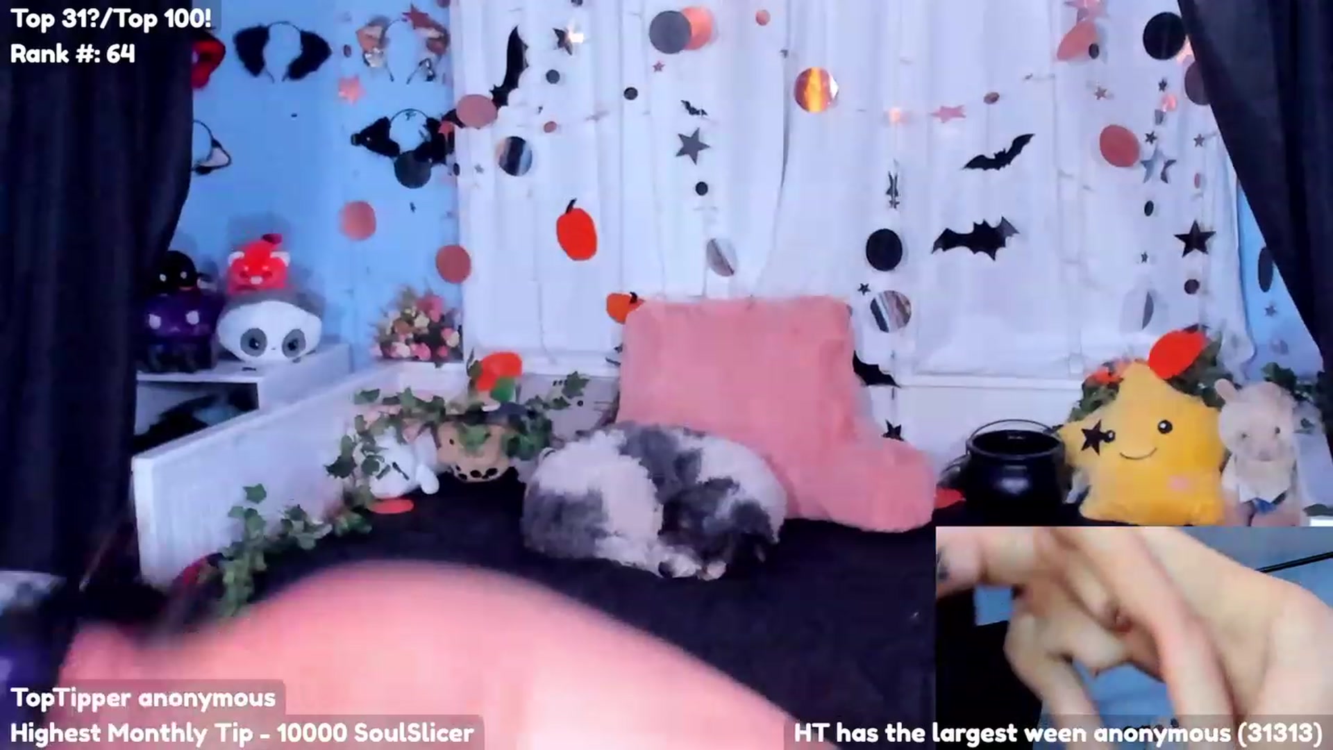 Gallery image thumbnail from CosmicNeko's myfreecams stream on, 10/25/2023, 07:15 image 18 of 20