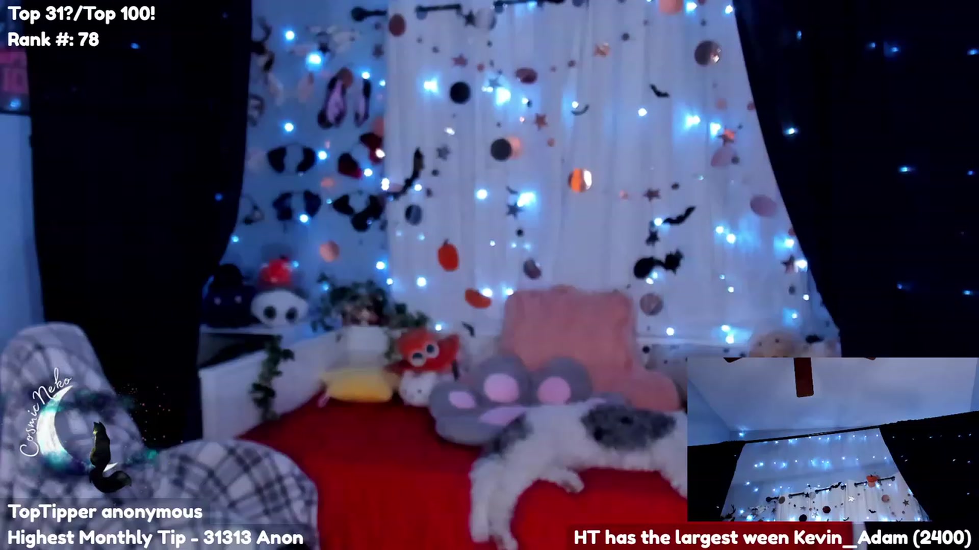 Gallery image thumbnail from CosmicNeko's myfreecams stream on, 10/31/2023, 05:49 image 15 of 20