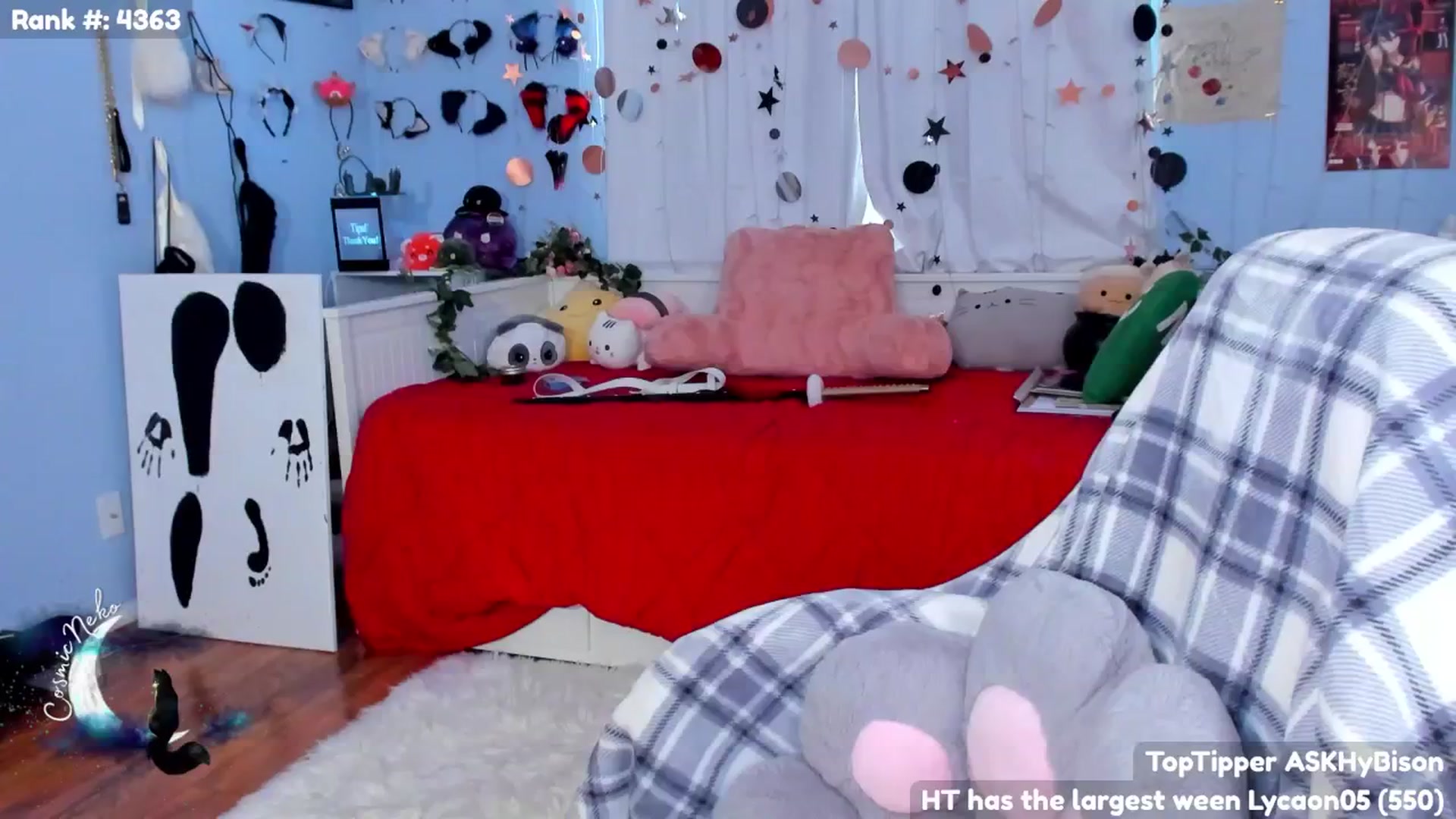 Gallery image thumbnail from CosmicNeko's myfreecams stream on, 06/23/2024, 23:37 image 8 of 20