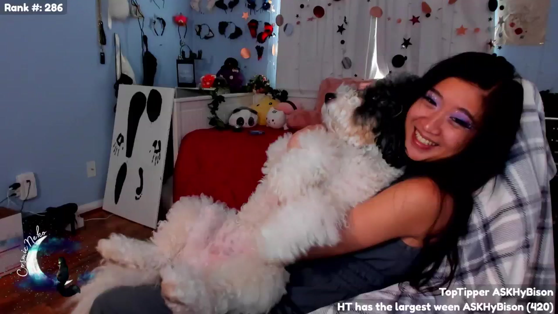 Gallery image thumbnail from CosmicNeko's myfreecams stream on, 07/01/2024, 17:50 image 9 of 20
