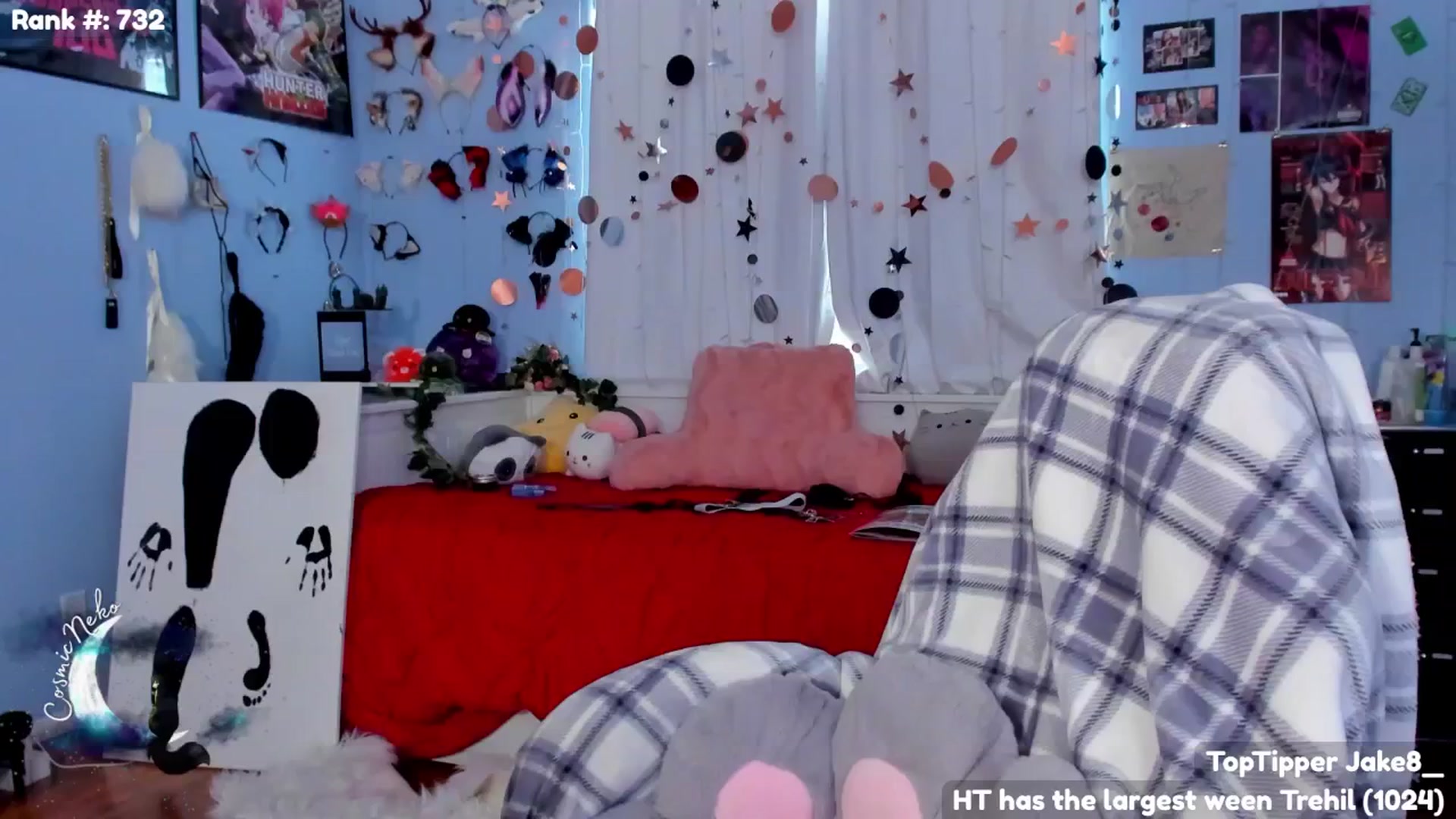 Gallery image thumbnail from CosmicNeko's myfreecams stream on, 07/23/2024, 19:42 image 16 of 20