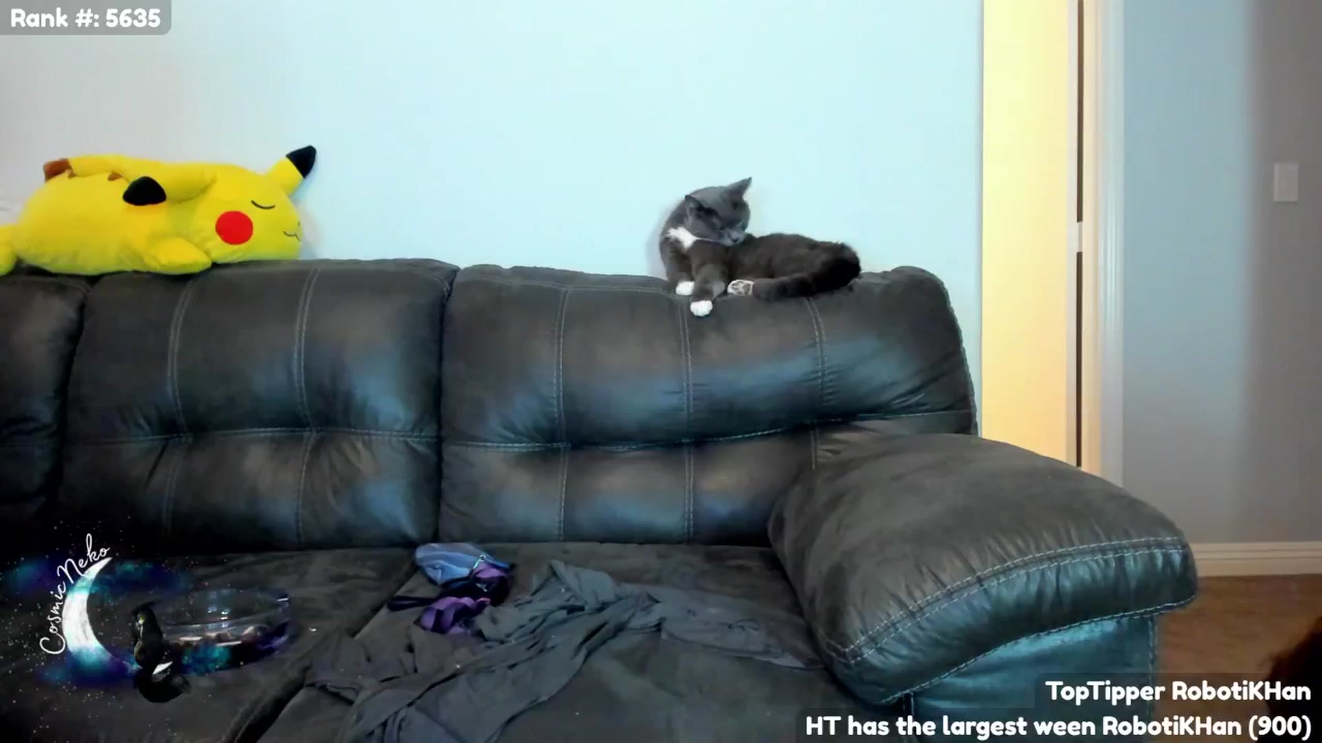 Gallery image thumbnail from CosmicNeko's myfreecams stream on, 09/23/2024, 04:07 image 18 of 20