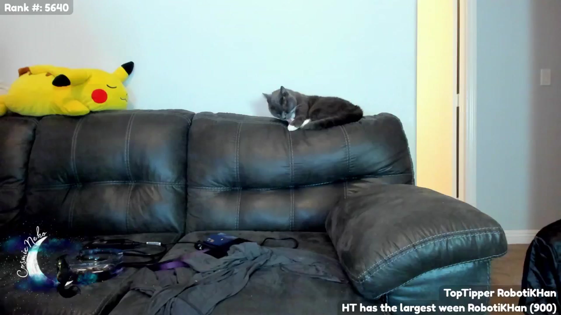Gallery image thumbnail from CosmicNeko's myfreecams stream on, 09/23/2024, 04:07 image 17 of 20